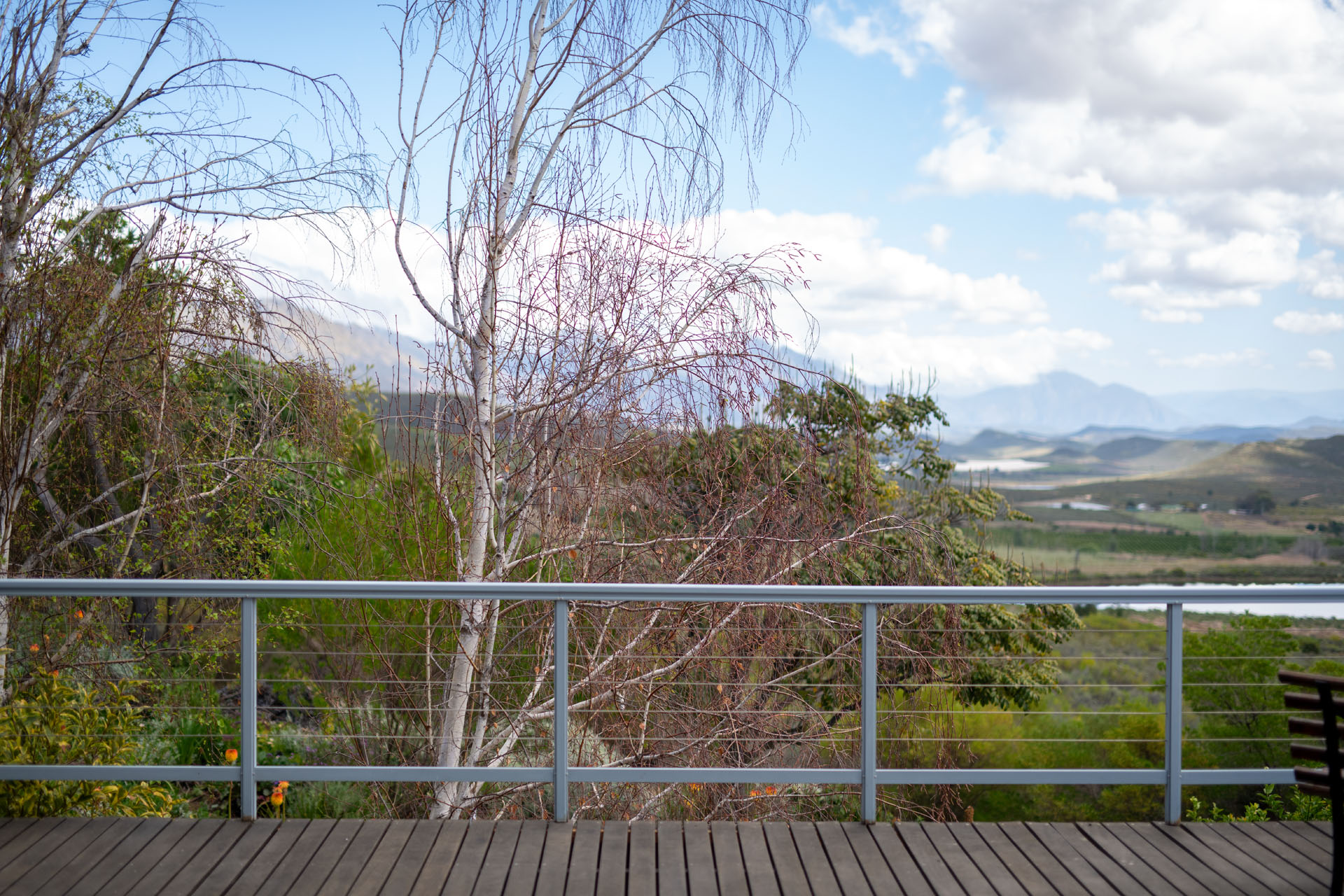  Serene Lifestyle Farm in Montagu - 物件實景