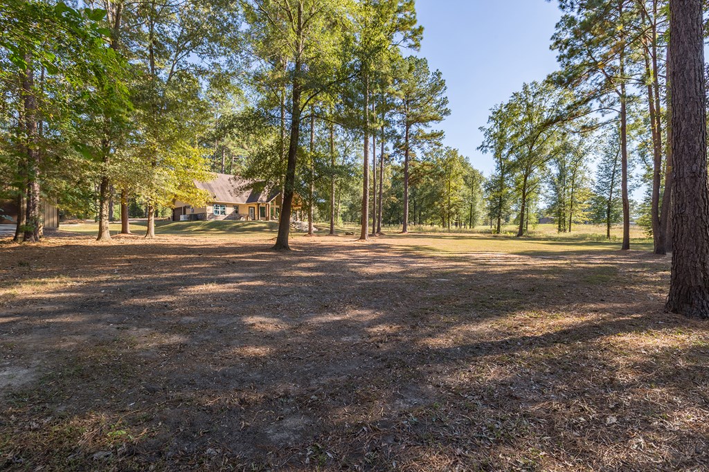 Etoile, Texas, 75944, United States, 3 Bedrooms Bedrooms, ,2 BathroomsBathrooms,Residential,For Sale,1989857