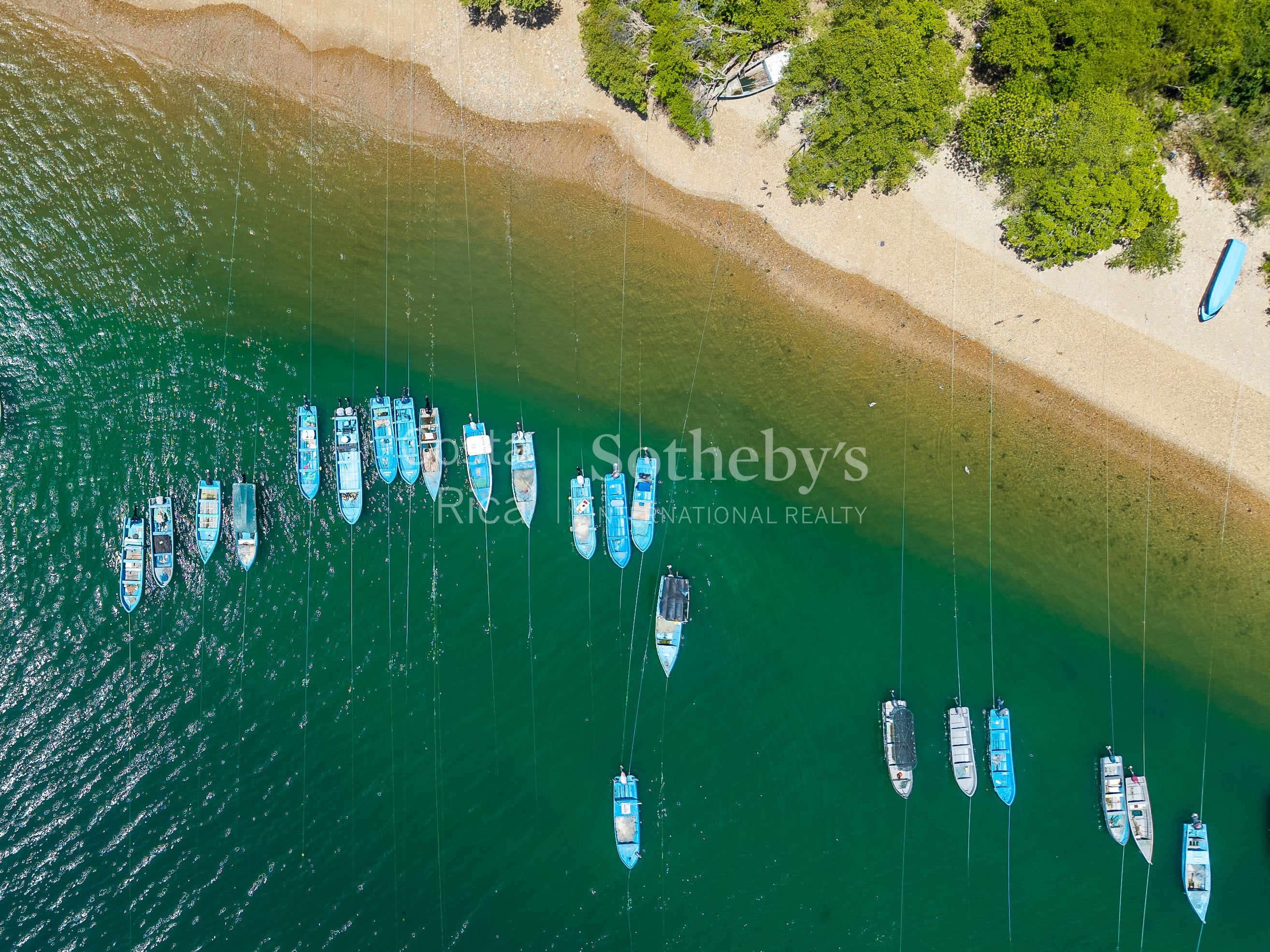  The Cove - 物件實景