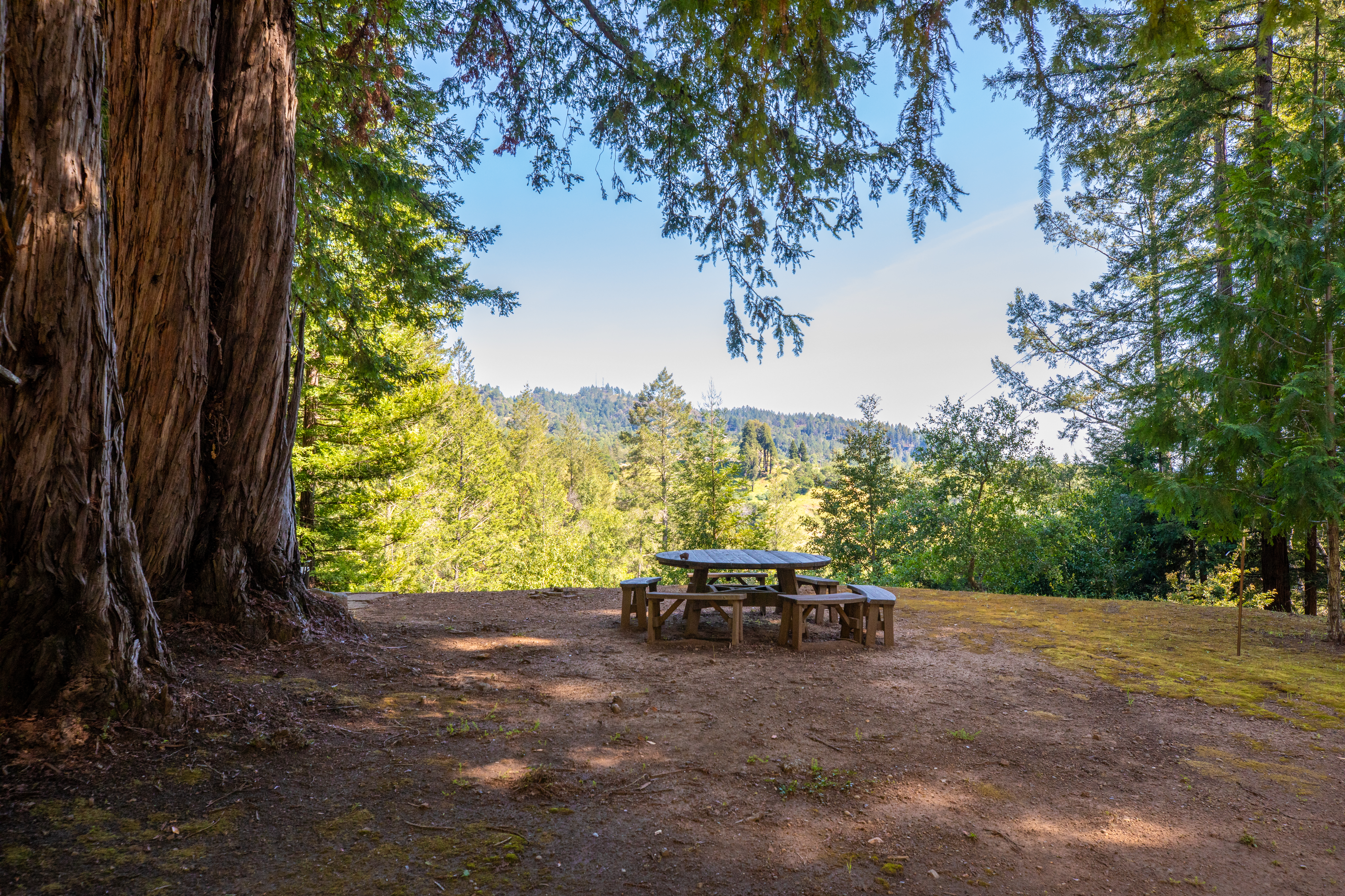  18900 Armstrong Woods Road, Guerneville, CA 95446 - 物件實景