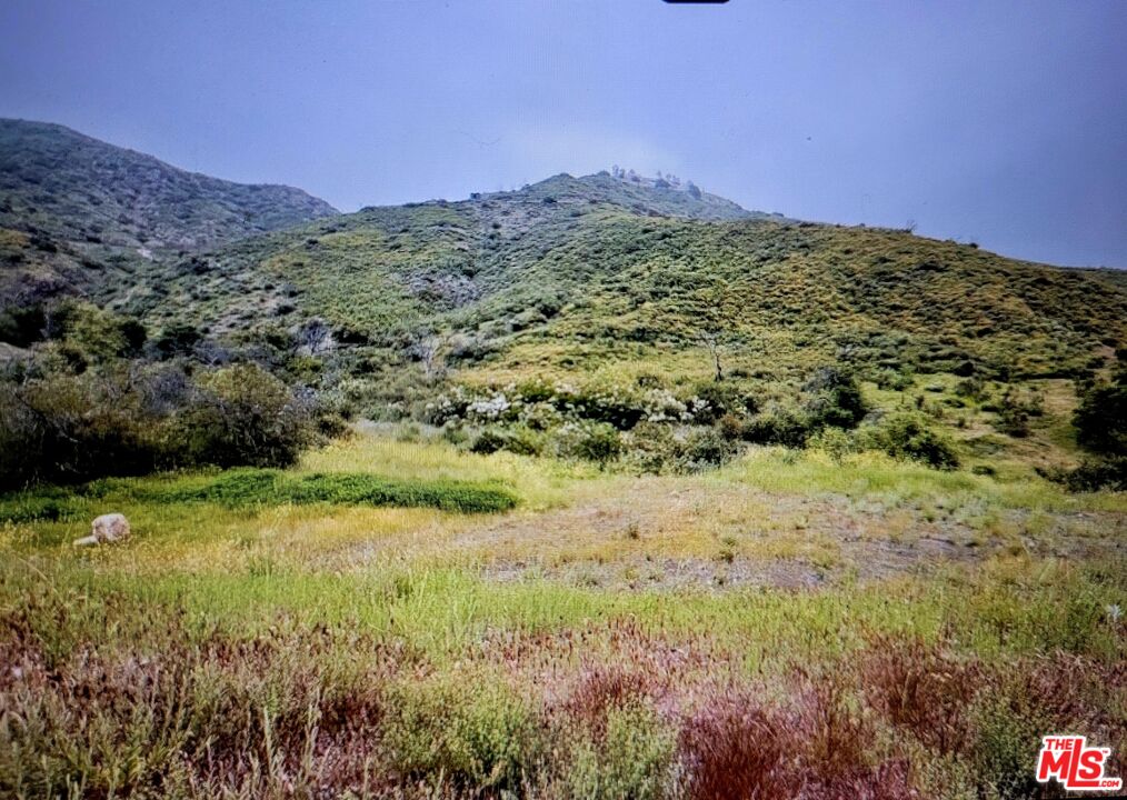 Malibu, California, 90265, United States, ,Land,For Sale,1991664