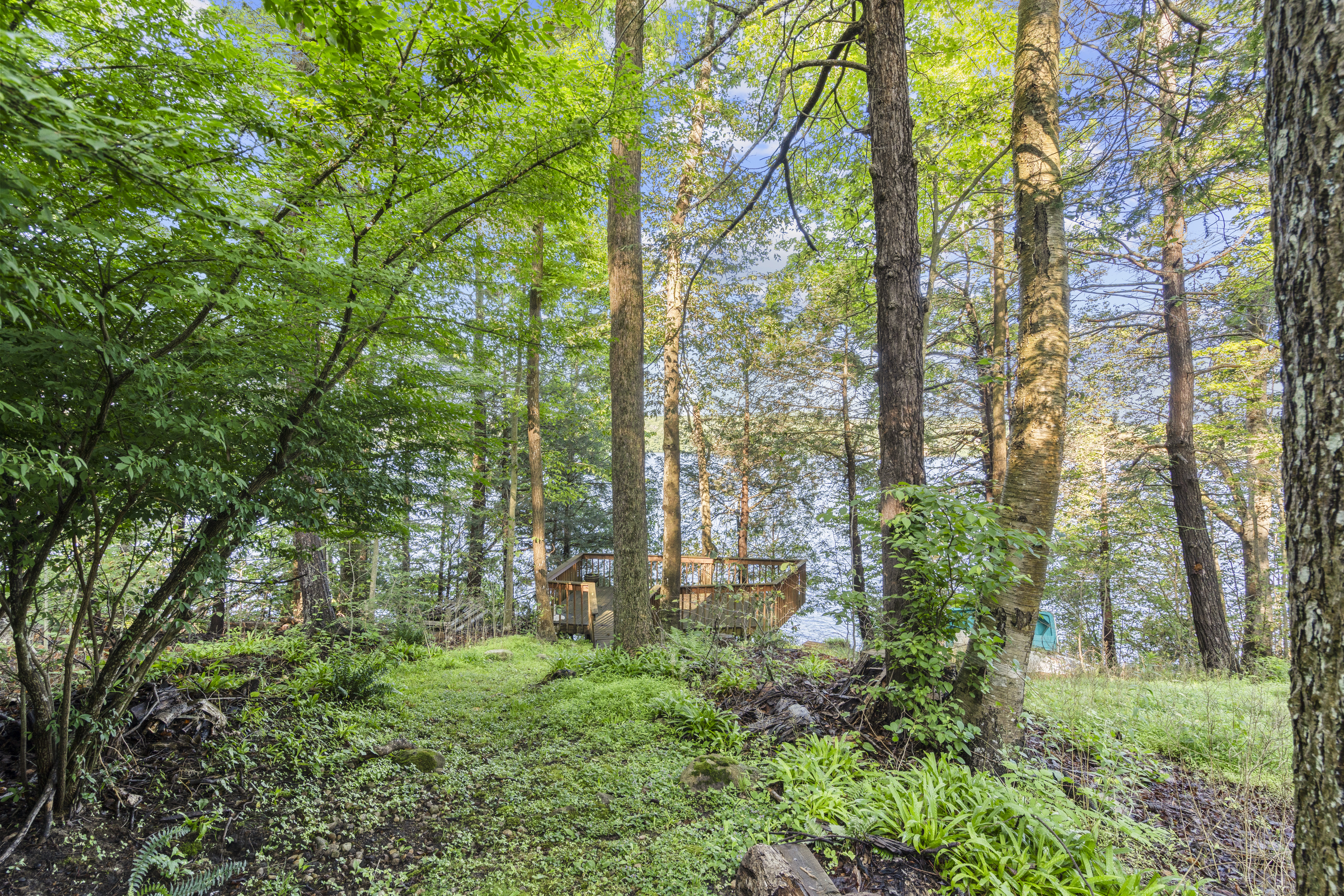  208 East Hyerdale Drive - 物件實景