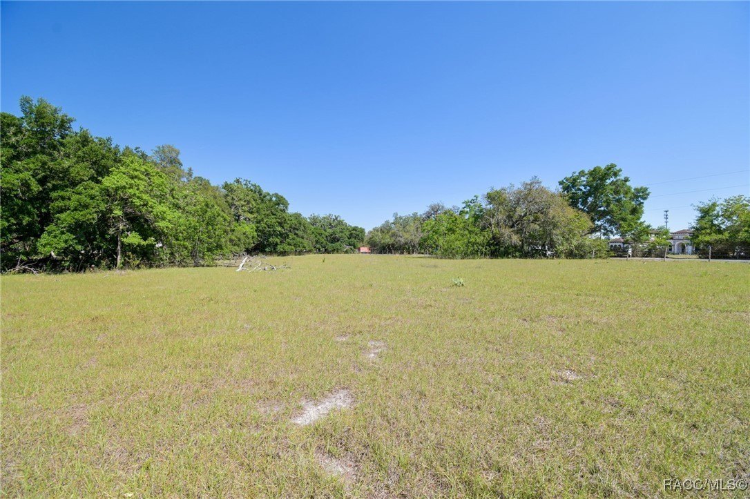 Brandon, Florida, 33511, United States, ,Land,For Sale,1981664