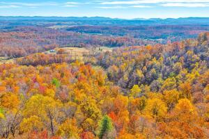 Fincastle, Virginia, 24090, United States, ,Residential,For Sale,1989448