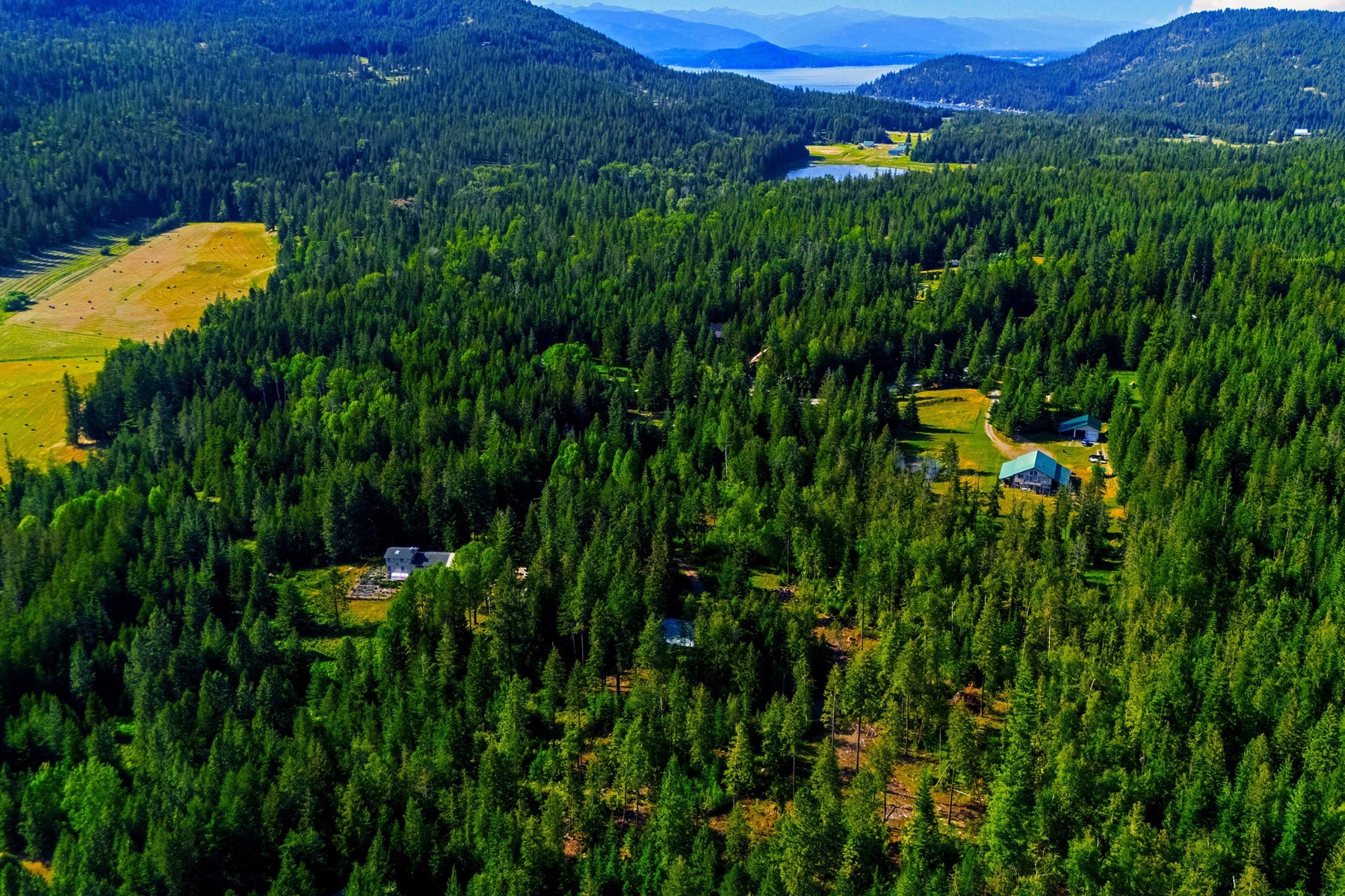  113 Tanager Lane - 物件實景