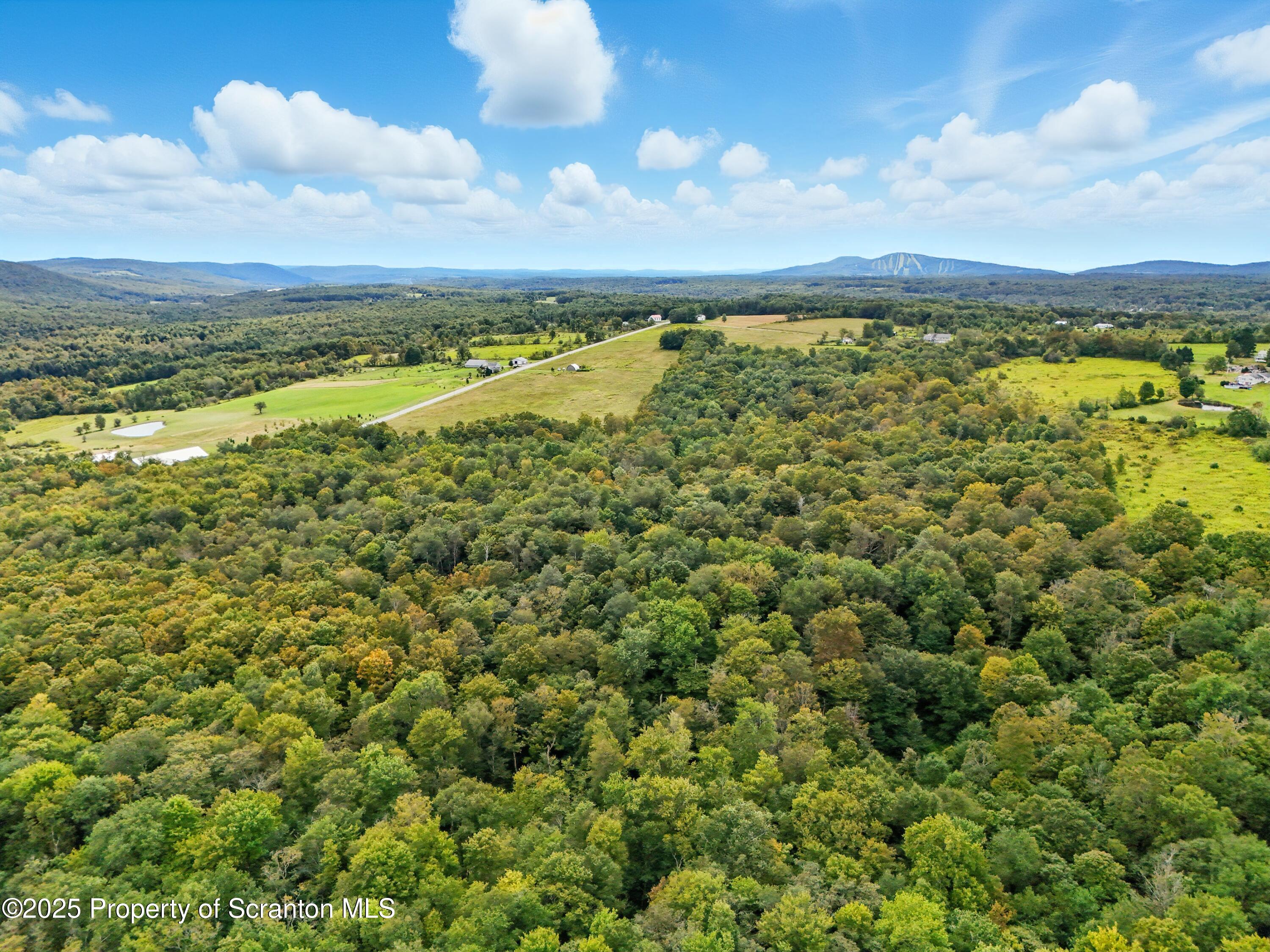 Union Dale, Pennsylvania, 18470, United States, ,Land,For Sale,1975755