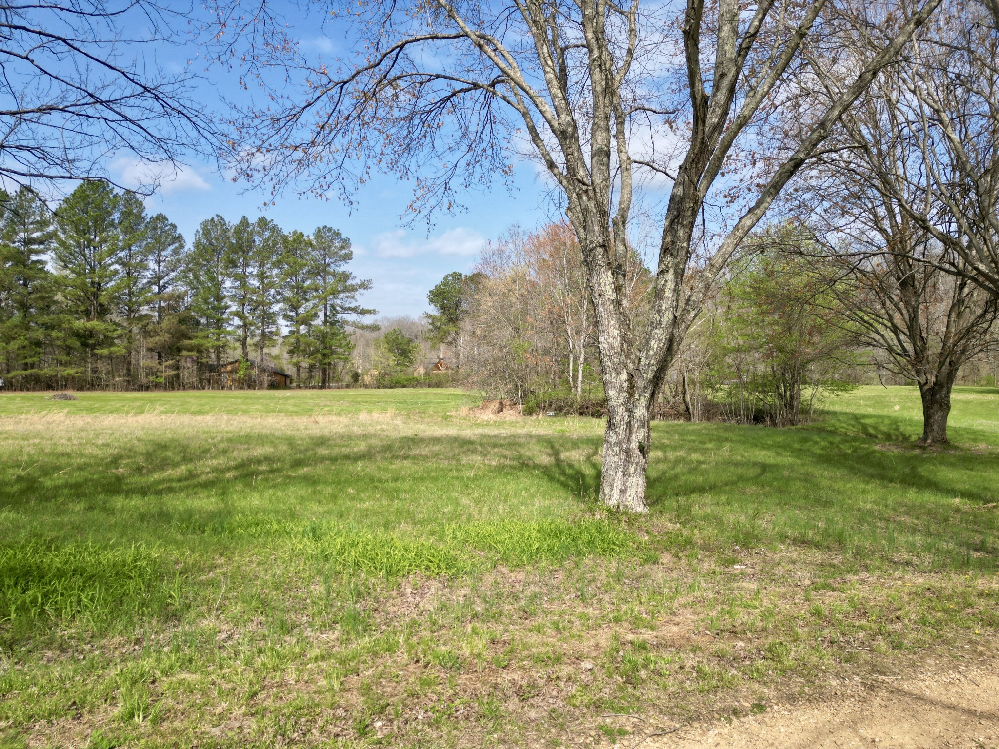  1875 New Hope Rd, Joelton, TN, 37080 - 物件實景