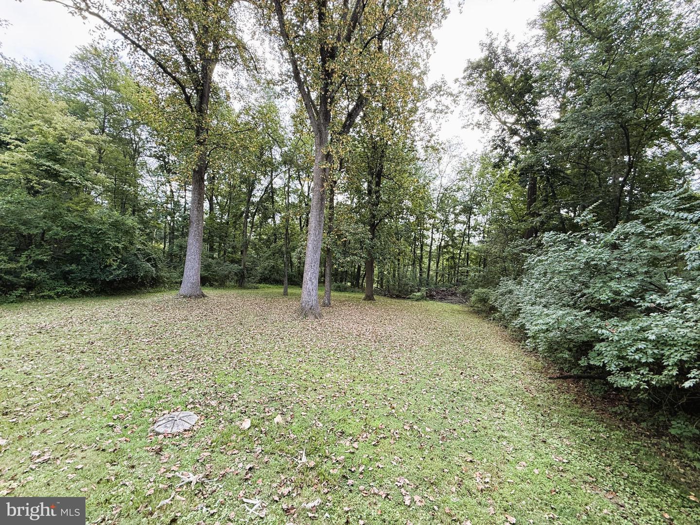 North Wales, Pennsylvania, 19454, United States, ,Land,For Sale,1919909