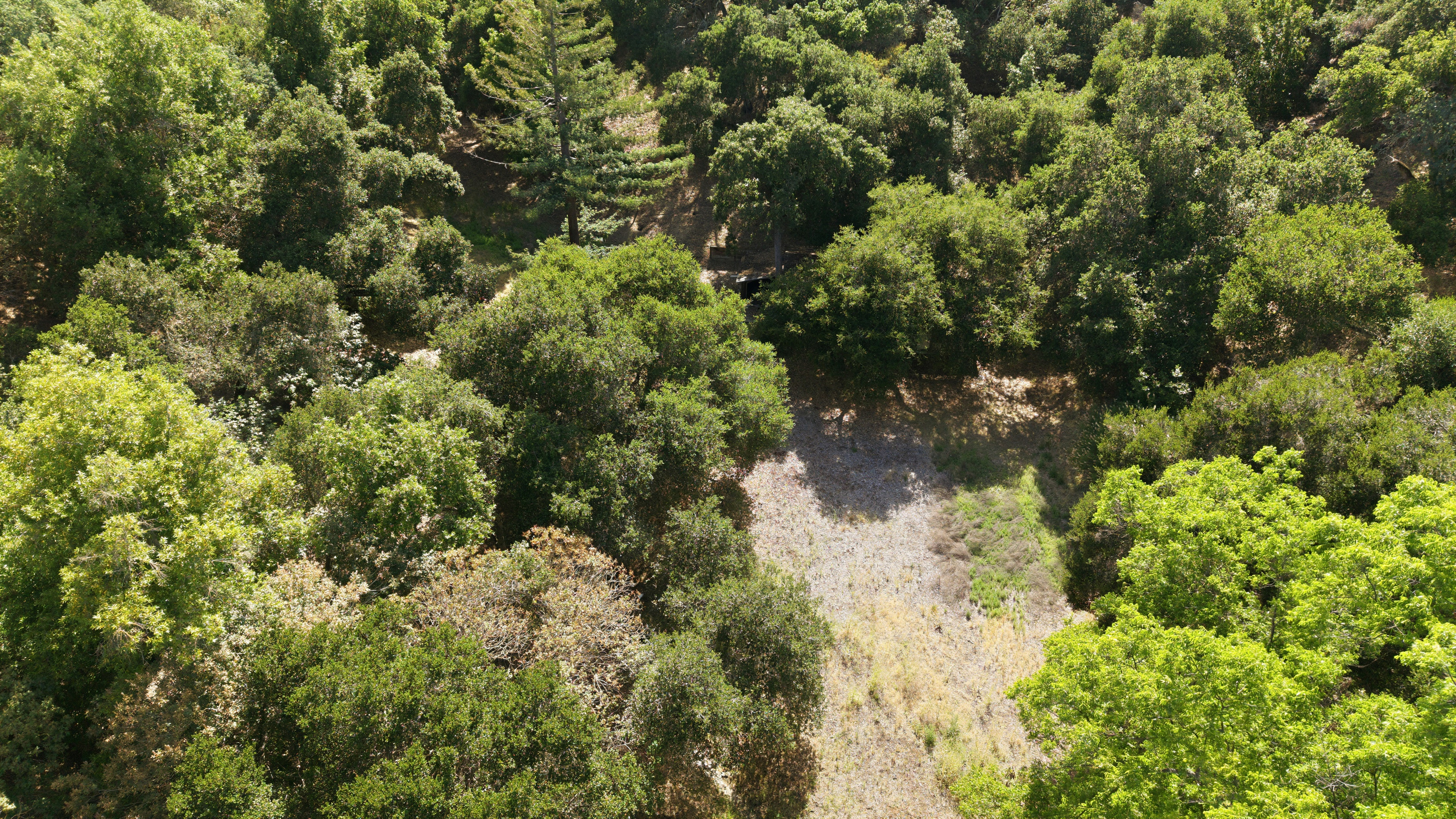  Extraordinary Acre Estate with Development Potential in a Prime Location - 物件實景