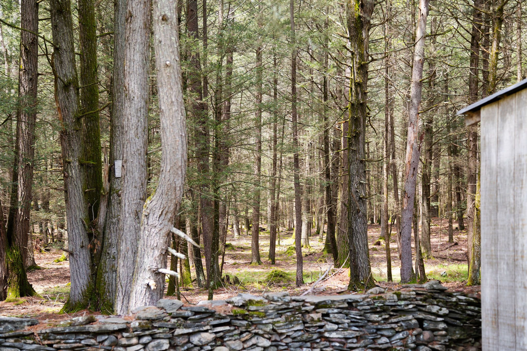  2013 County Road 3, Olivebridge, NY, 12461 - 物件實景