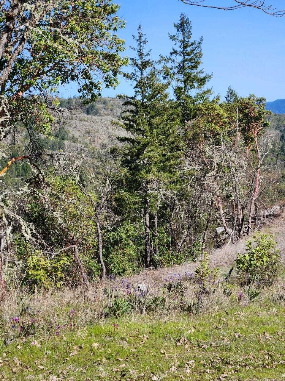 Grants Pass, Oregon, 97526, United States, 3 Bedrooms Bedrooms, ,2 BathroomsBathrooms,Residential,For Sale,1982829