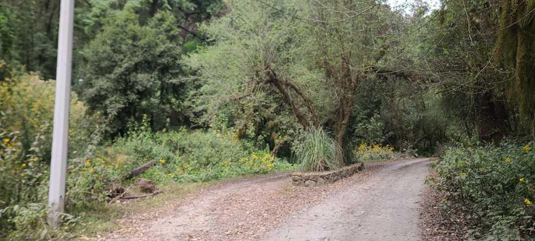 Valle de Bravo, Estado de México, 51200, Mexico, 1 Bedroom Bedrooms, ,Residential,For Sale,1739081