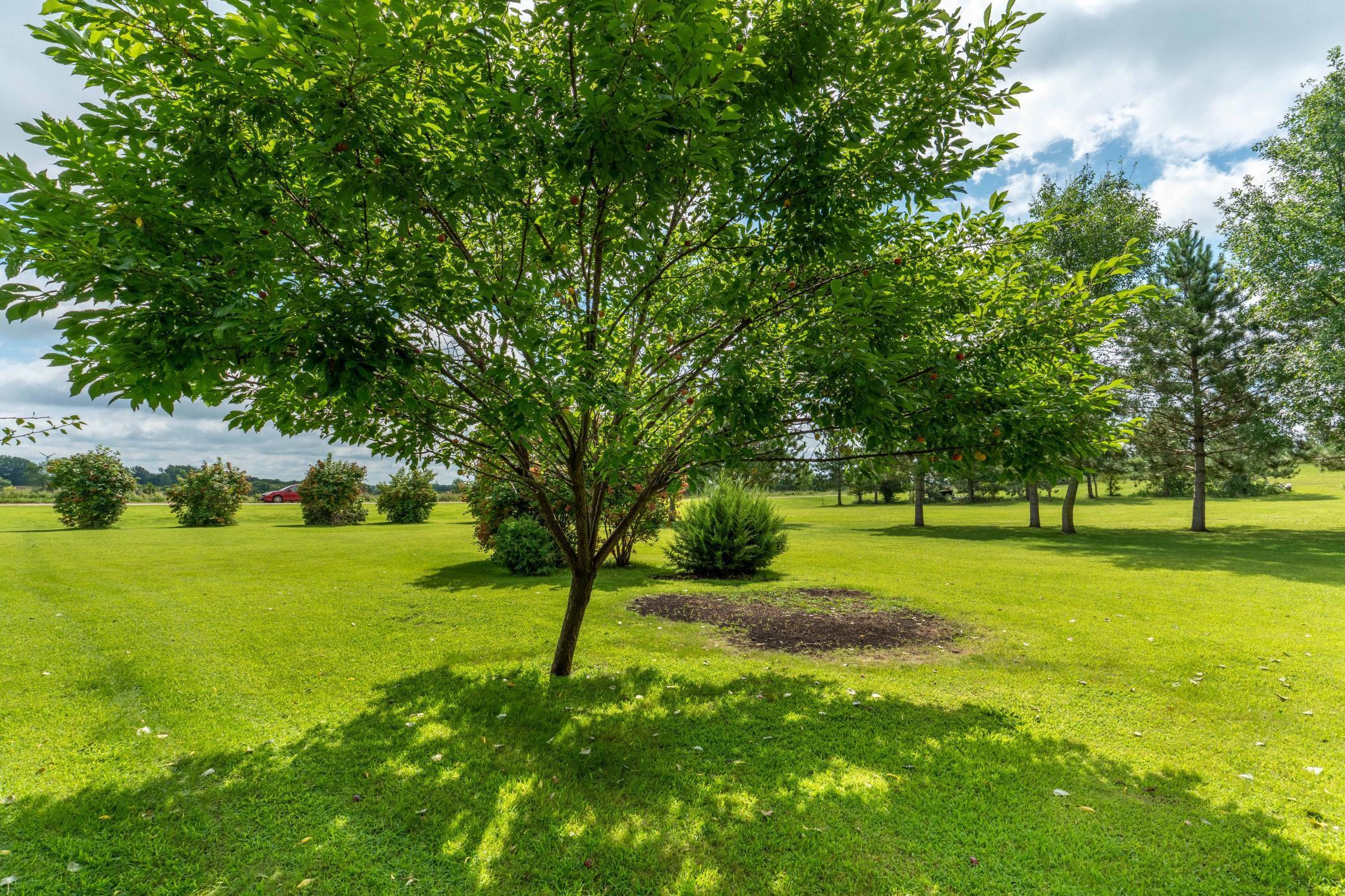 Fergus Falls, Minnesota, 56537, United States, 5 Bedrooms Bedrooms, ,2 BathroomsBathrooms,Residential,For Sale,1920675