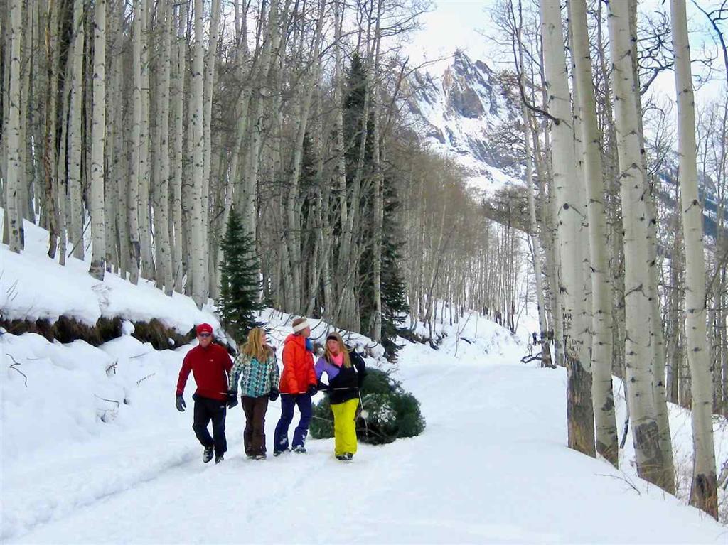 235 Lupine Dr., Crested Butte, Colorado, 81224, United States, ,Land,For Sale,235 Lupine Dr.,1431090