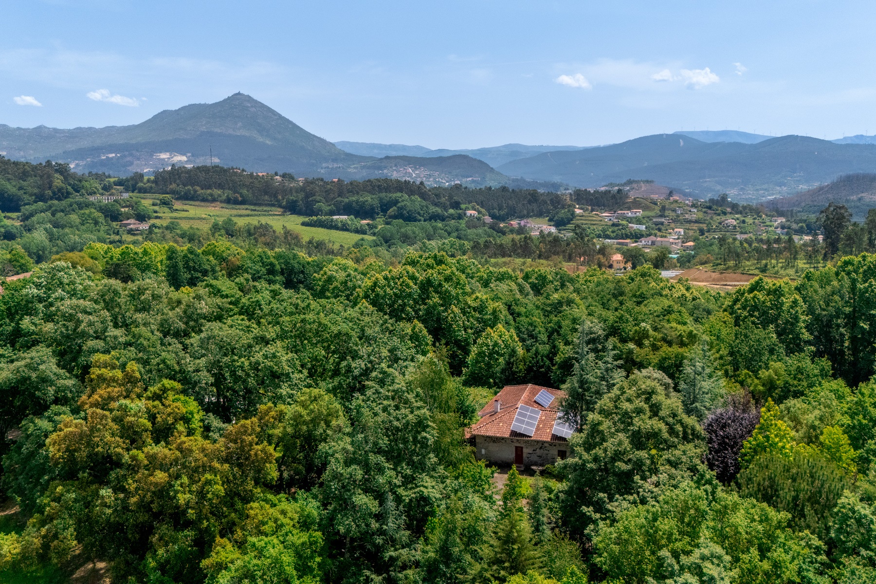  Farm, 8 bedrooms, for Sale - 物件實景