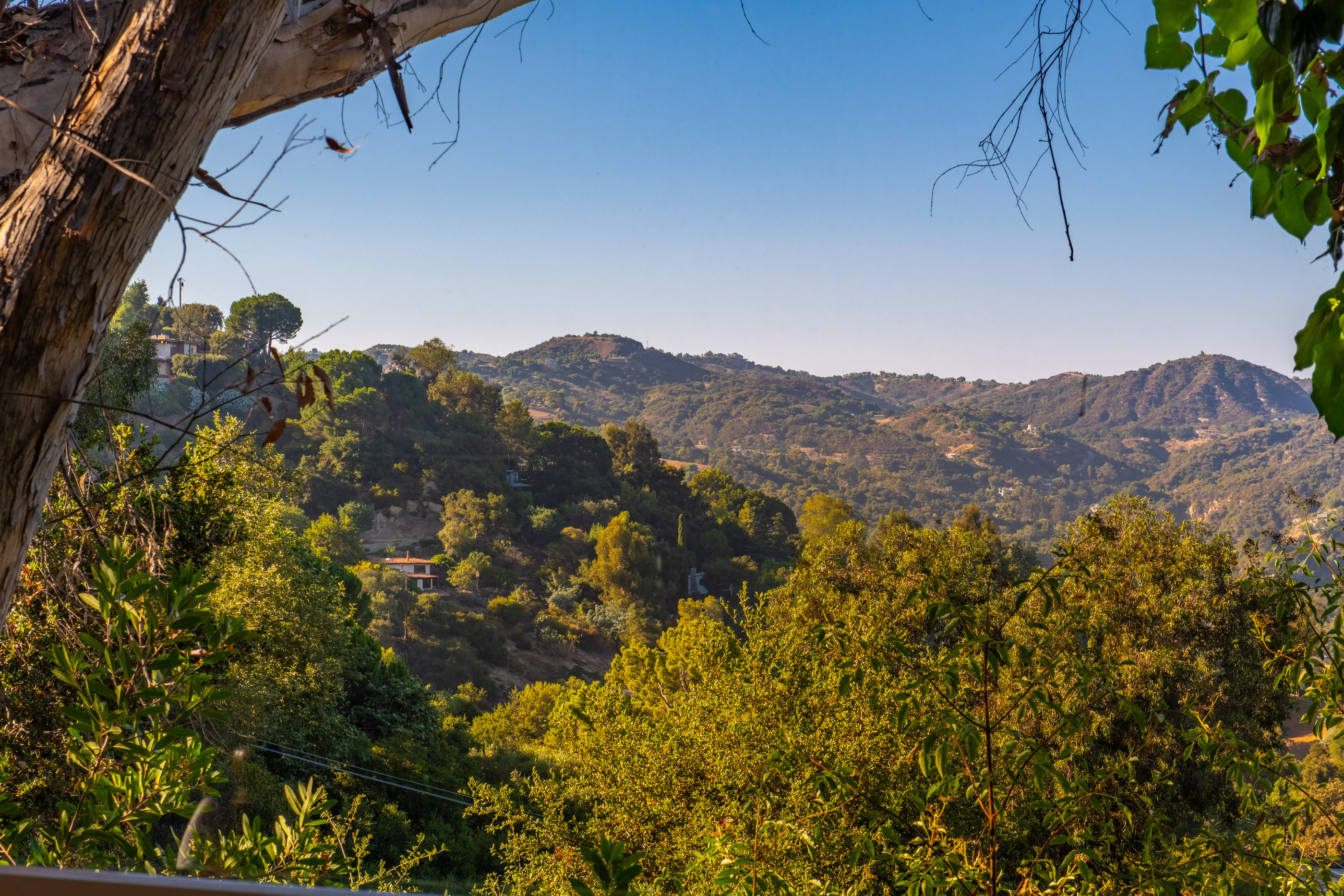  1328 Fernwood Pacific Dr - 物件實景