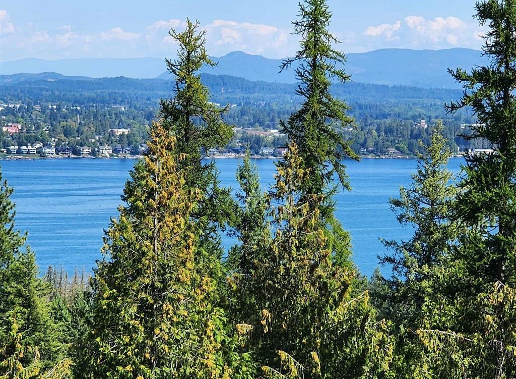 Sagle, Idaho, 83860, United States, ,Land,For Sale,1977293