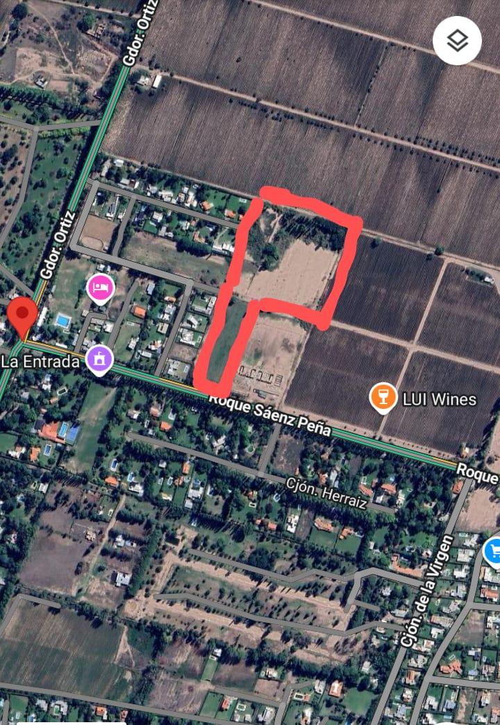 Lujan De Cuyo, AR-M, AR, ,Land,For Sale,1819994