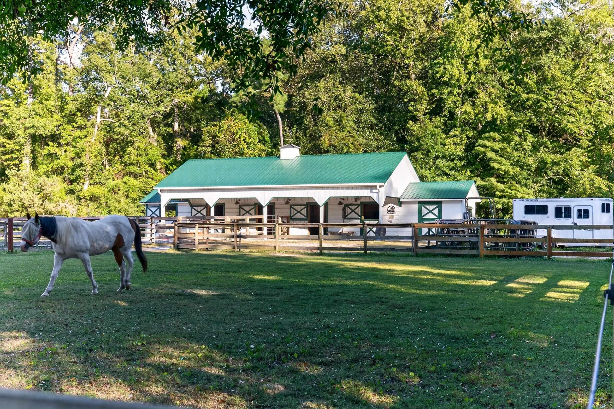  5299 Berkeley Court  Equestrian Property in Murrells Inlet, SC - 物件實景