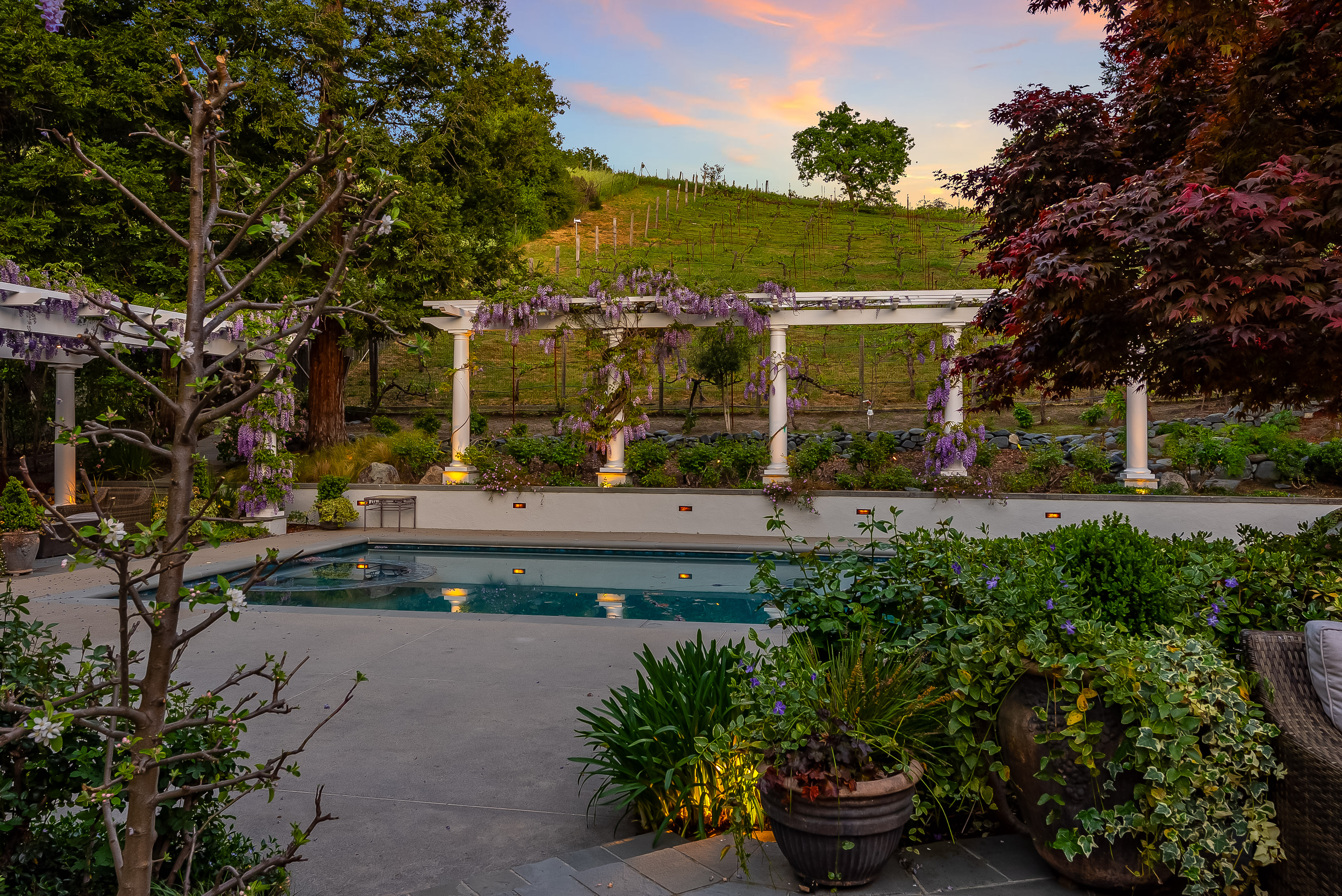  Elegant Vineyard Estate with Resort-Like Grounds - 物件實景