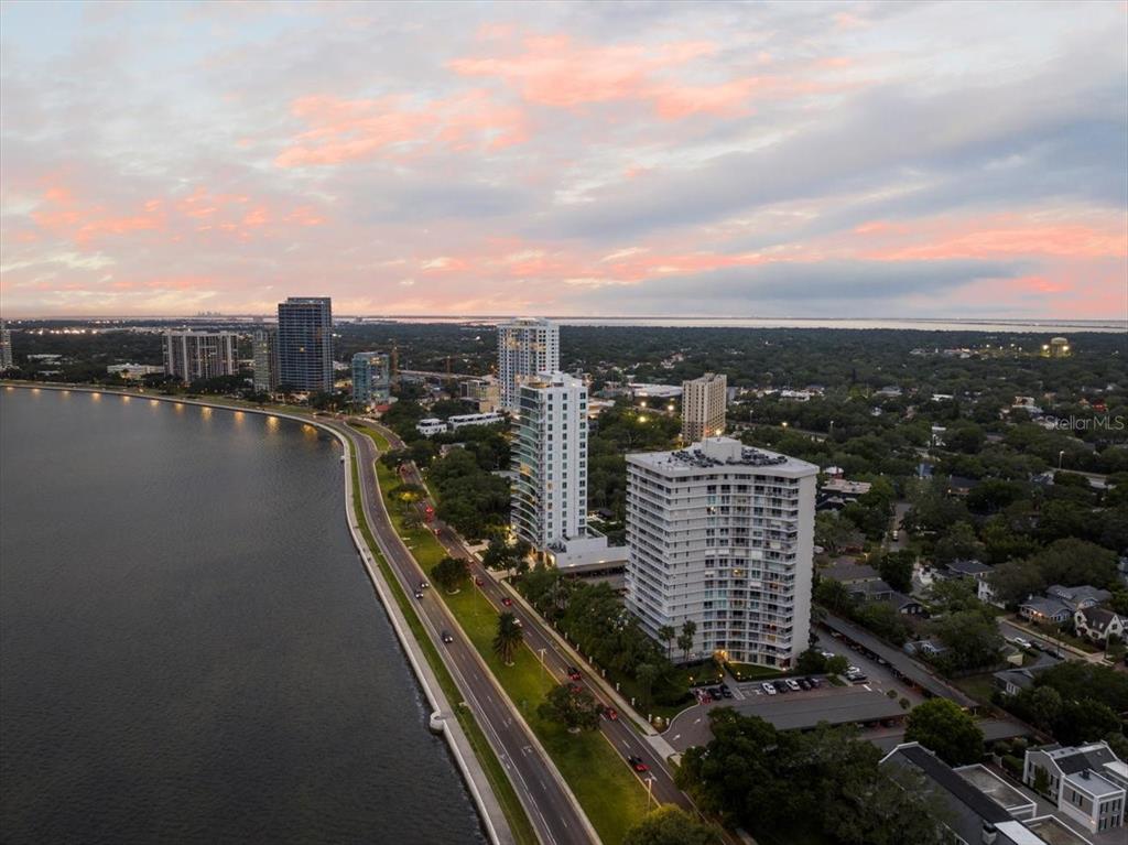 Tampa, Florida, 33629, United States, 2 Bedrooms Bedrooms, ,2 BathroomsBathrooms,Residential,For Sale,1993364