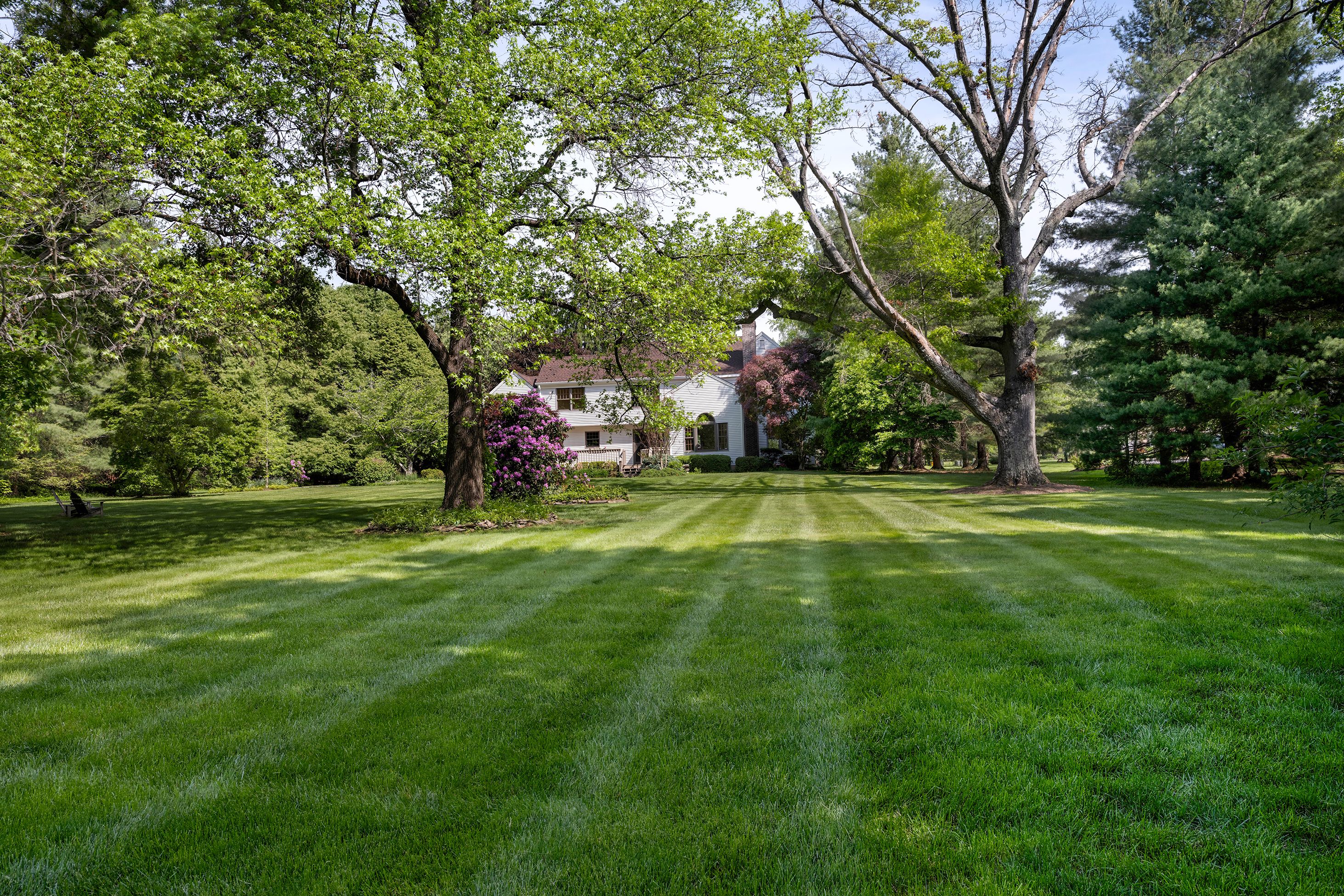  A Garden-Framed Setting in Bainbridge Estates - 物件實景