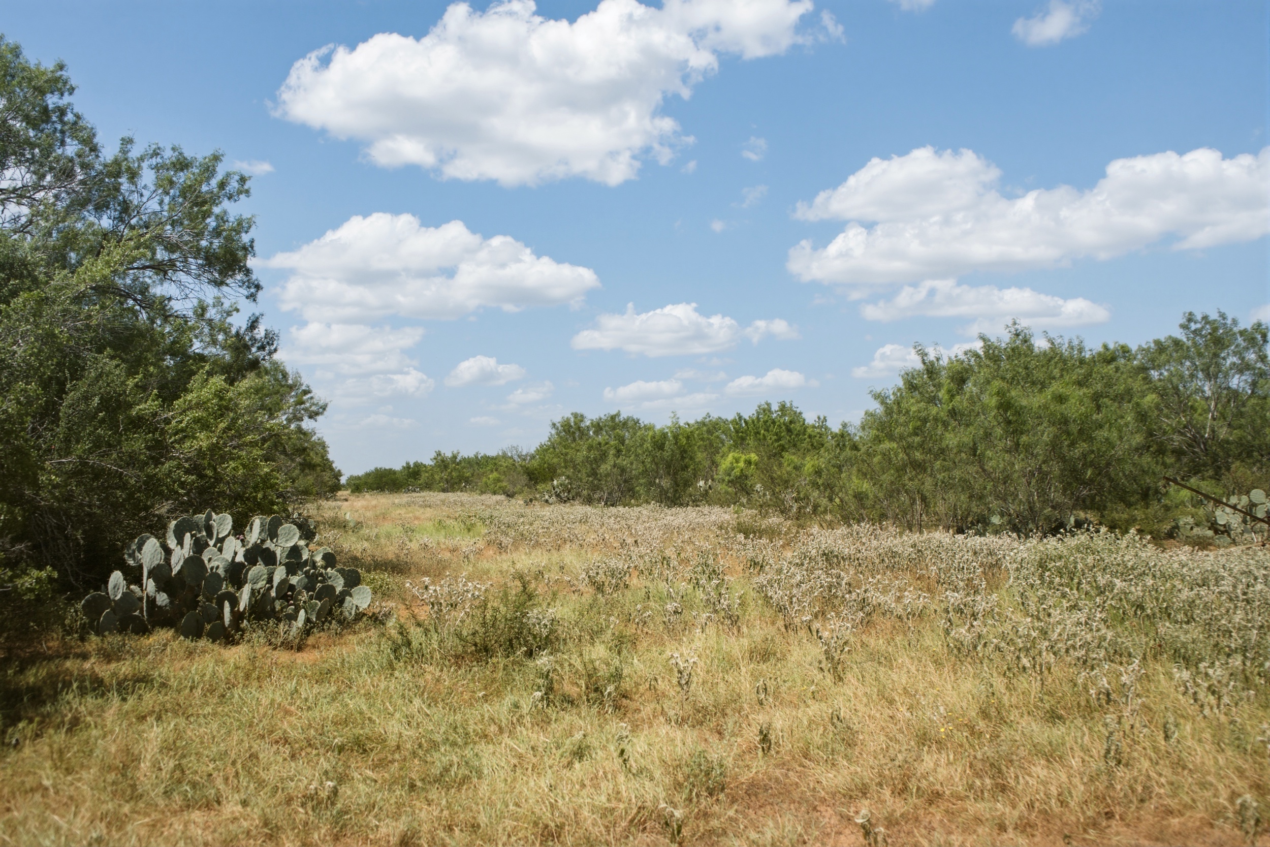  O6 Ranch in Frio County - 物件實景