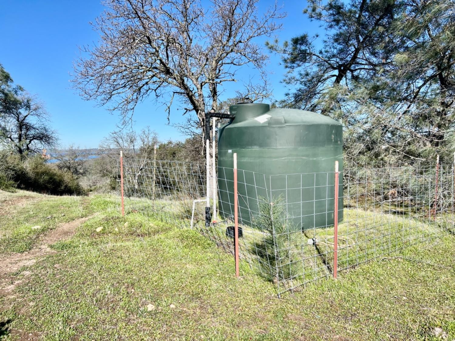 Burson, California, 95225, United States, ,Land,For Sale,1980133