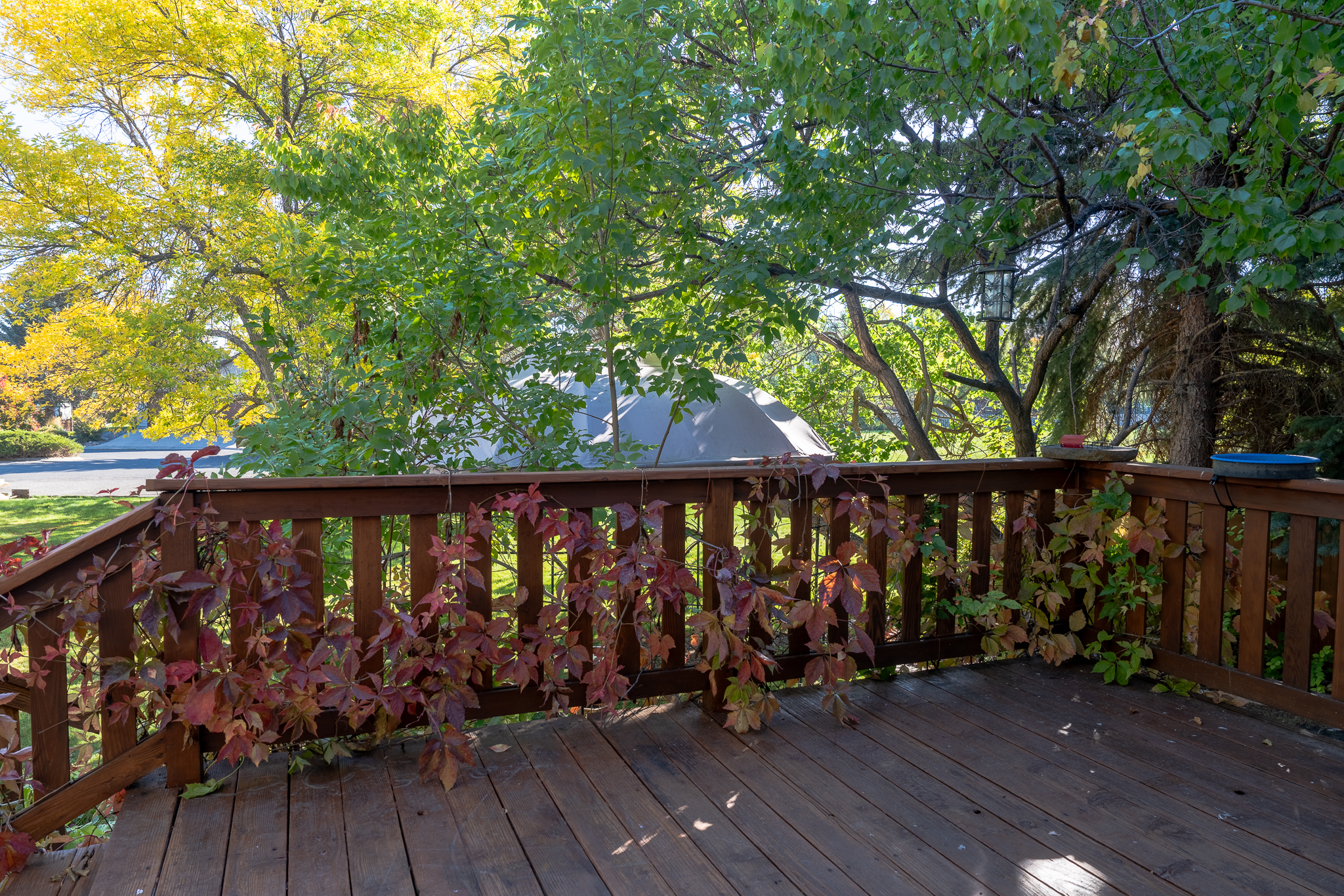 Helena, Montana, 59601, United States, 4 Bedrooms Bedrooms, ,4 BathroomsBathrooms,Residential,For Sale,1984515