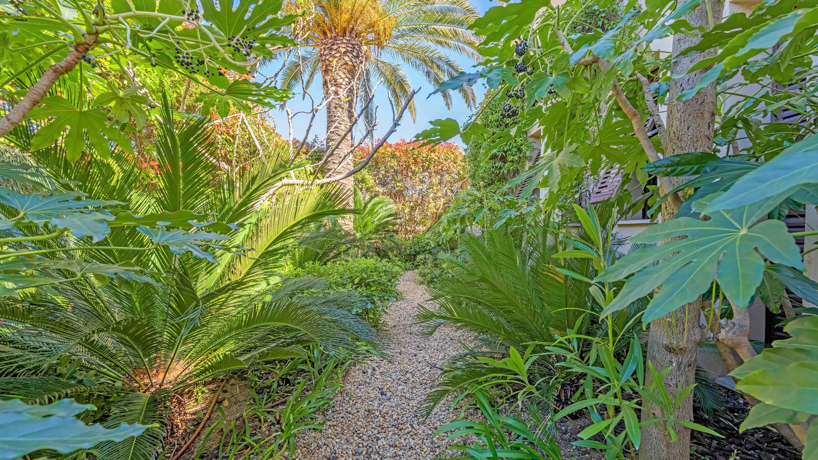  Saint-Tropez house 4 bedroom renovated walking distance village centre garden n… - 物件實景