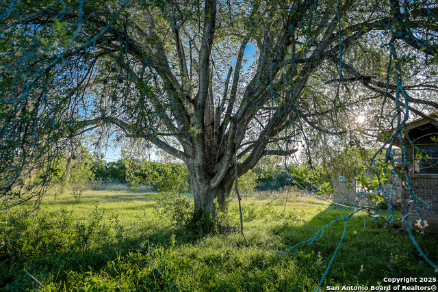 Beeville, Texas, 78102, United States, ,Land,For Sale,1942121