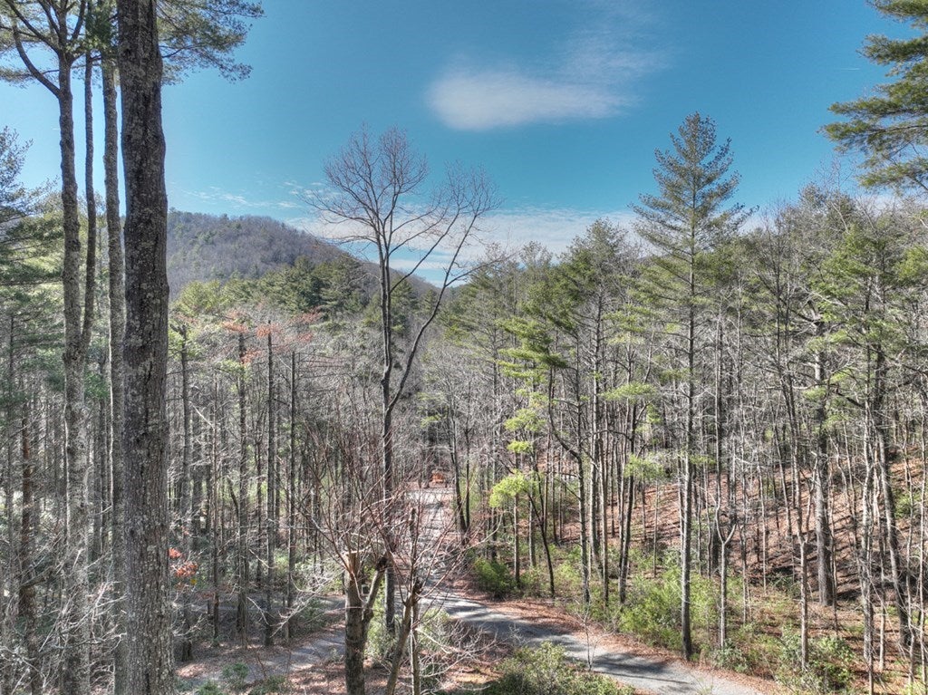 Blue Ridge, Georgia, 30513, United States, 5 Bedrooms Bedrooms, ,3 BathroomsBathrooms,Residential,For Sale,1859045