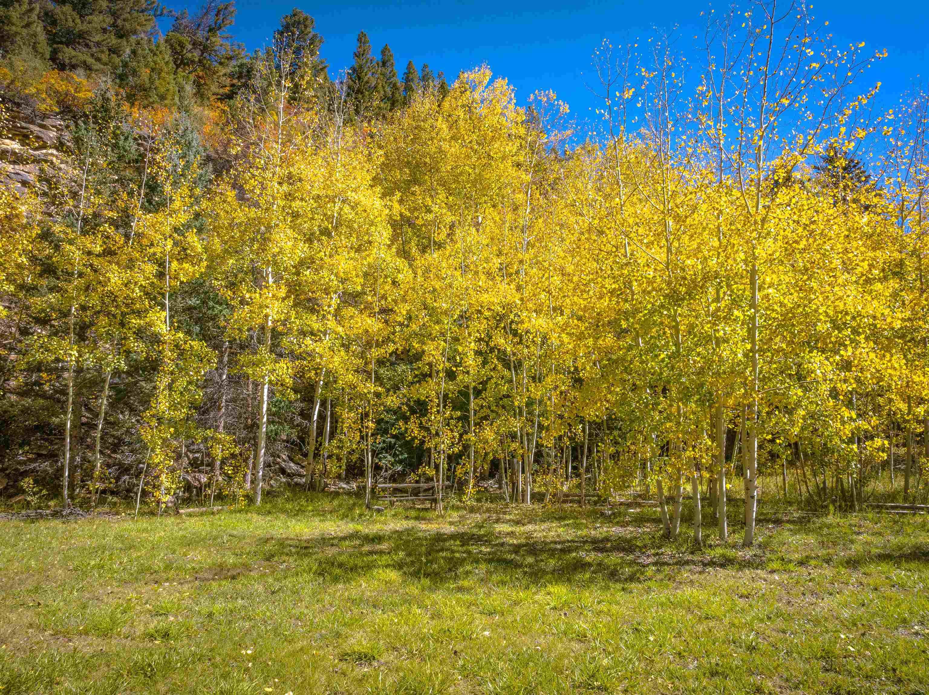 Tres Ritos, New Mexico, 87579, United States, ,Residential,For Sale,1986335