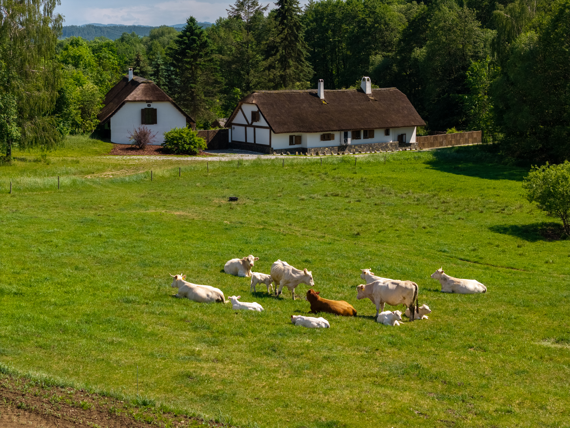  Country Estate - 物件實景