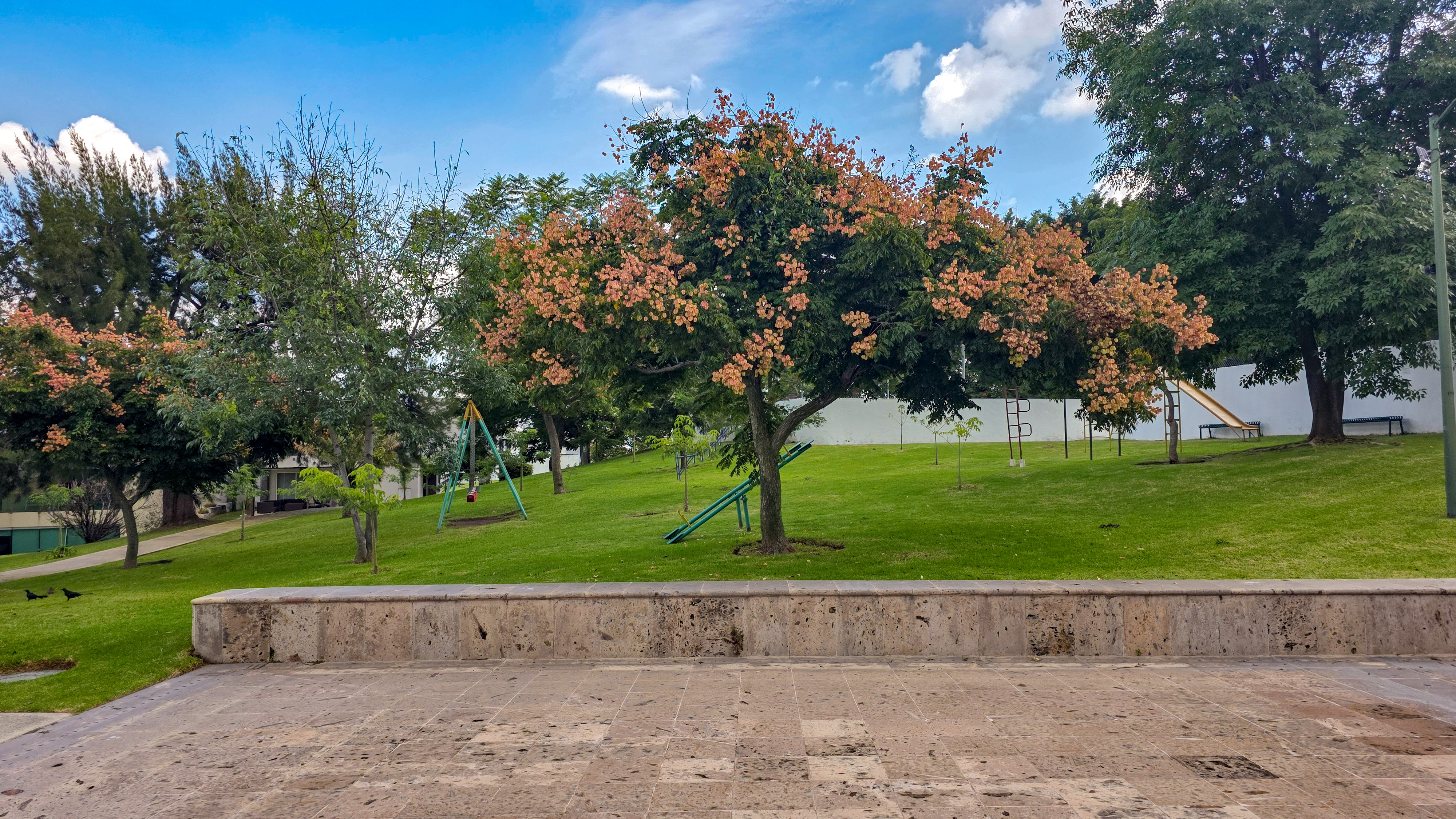  Terreno en Venta  Bosque Real, Zona Sur - 物件實景