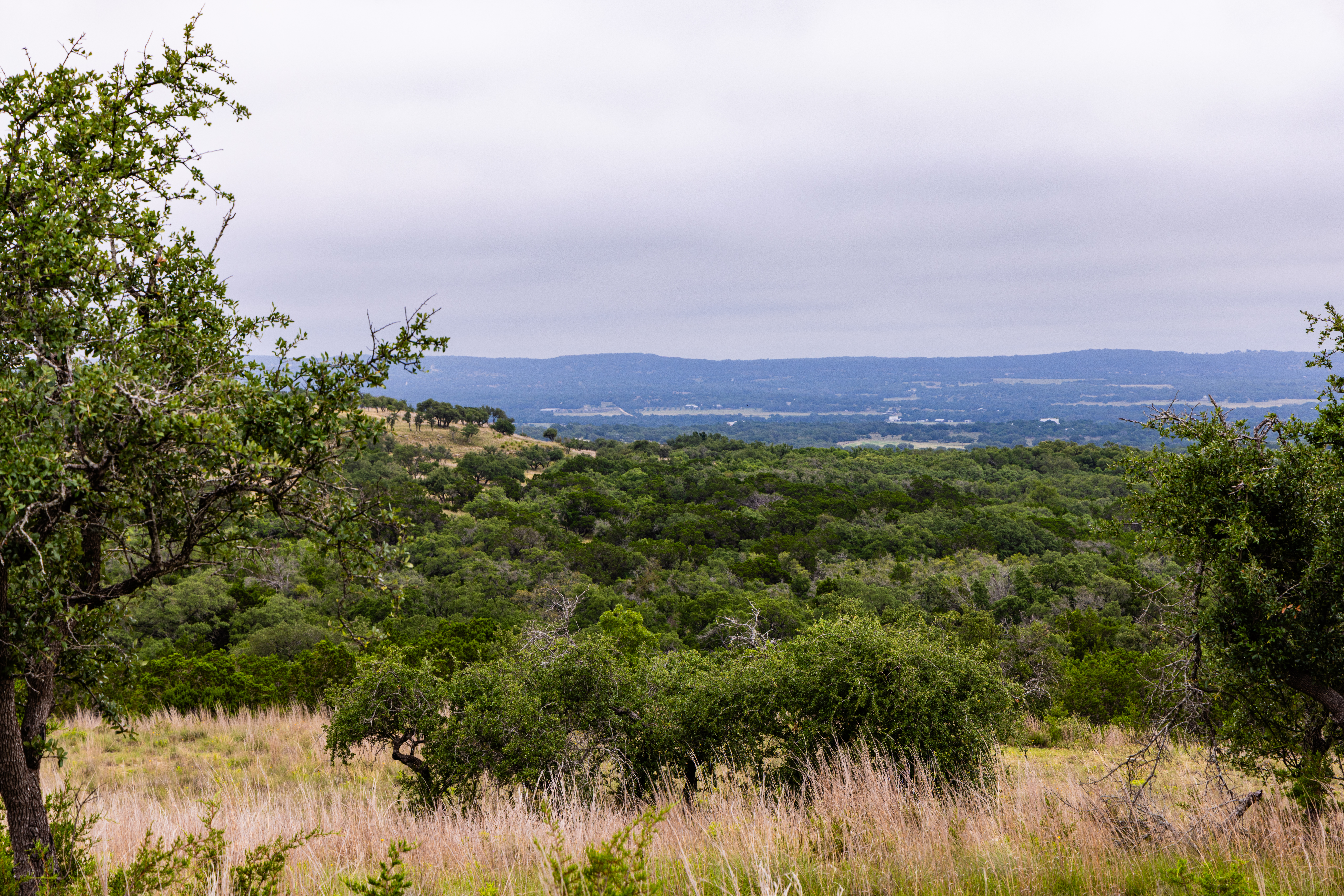  Expansive 10-Acre Lot - 物件實景