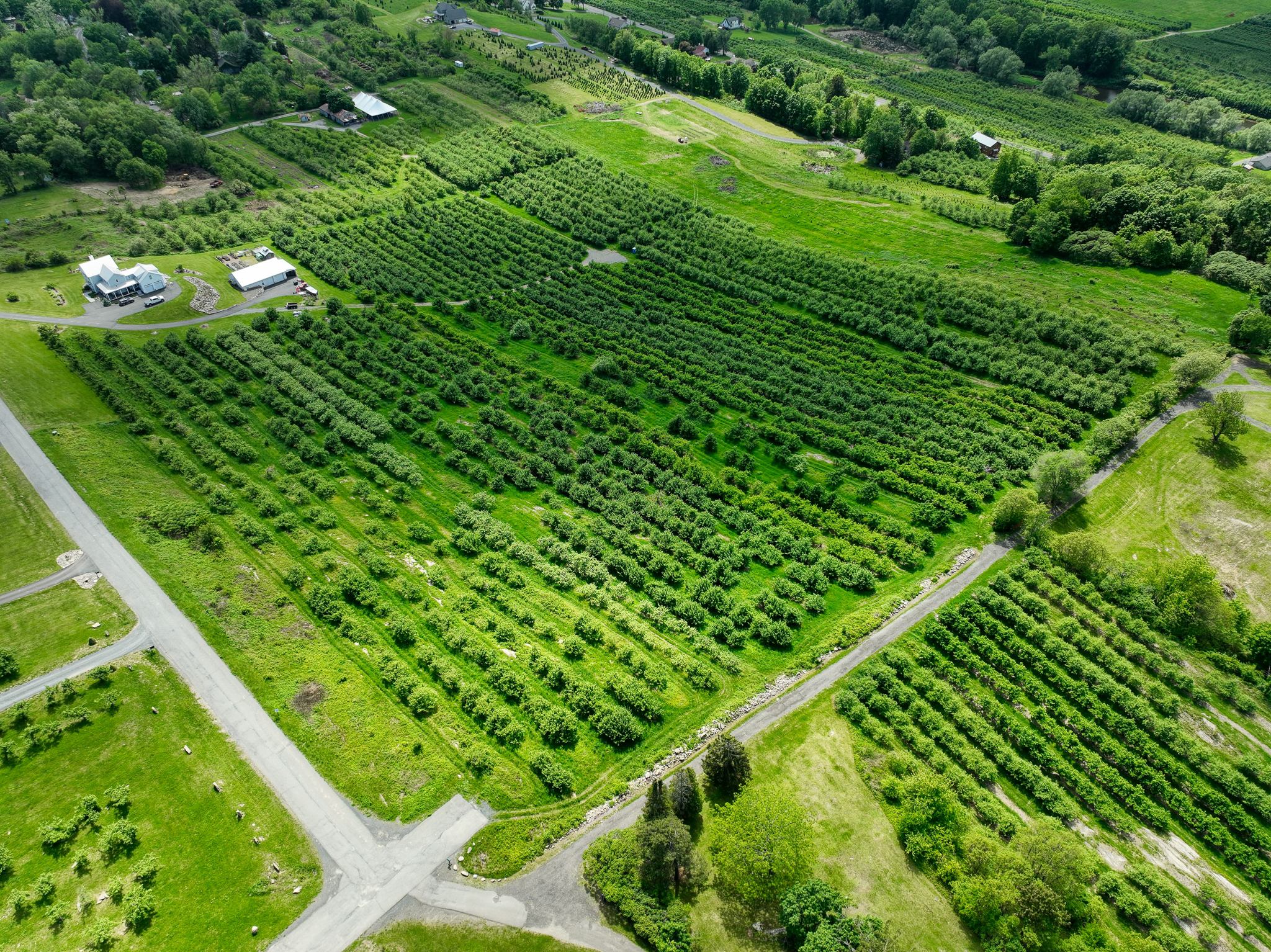  75 Palazzo Lane, Highland, NY 12528 - 物件實景