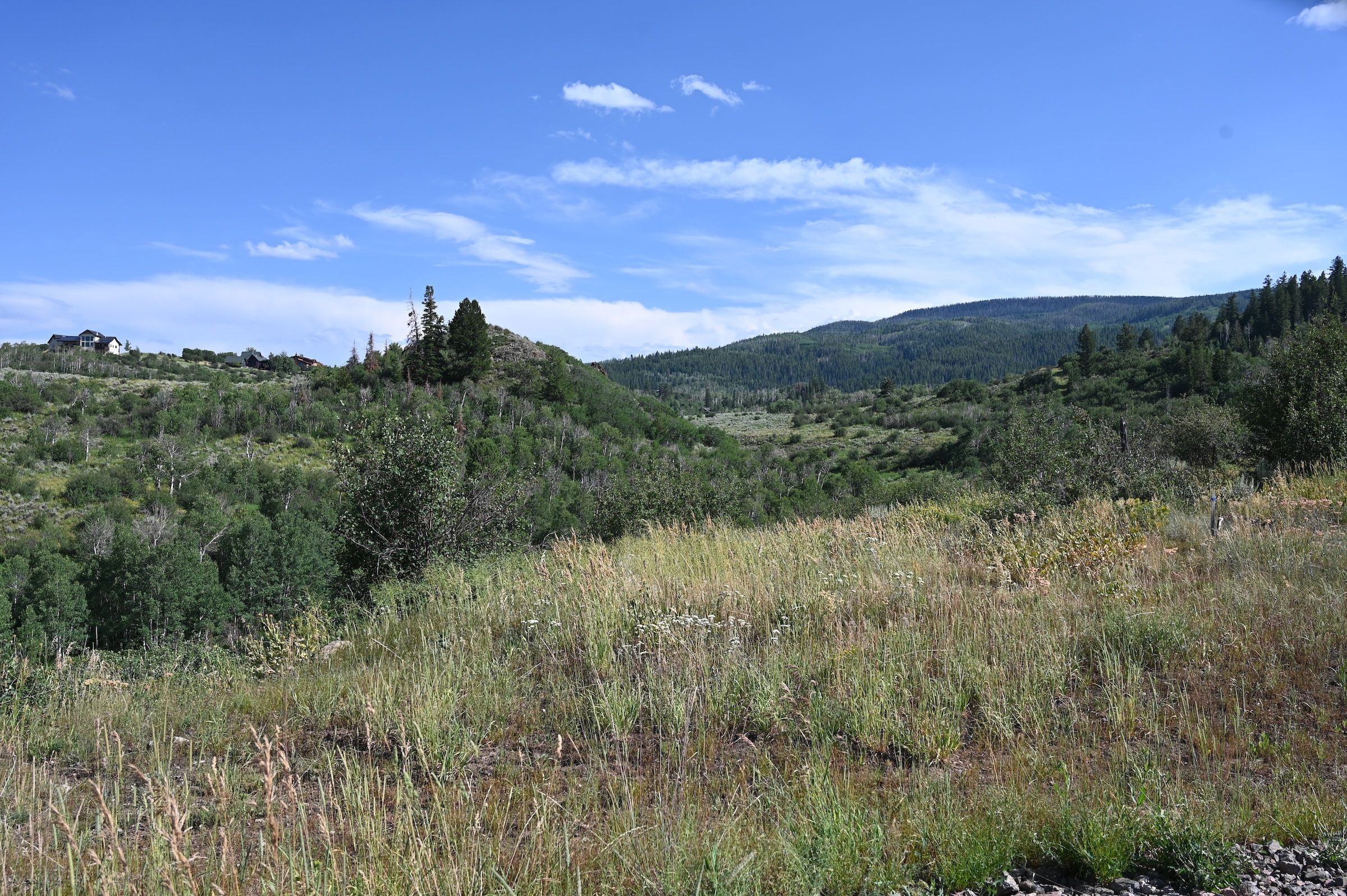  23590 Youngs Creek Way, Oak Creek, CO, 80467 - 物件實景