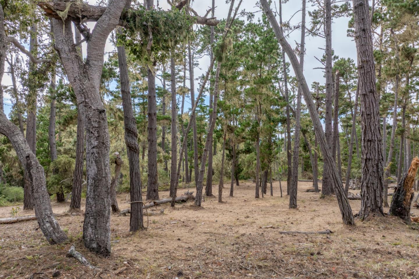 Pebble Beach, California, 93953, United States, ,Land,For Sale,1903523