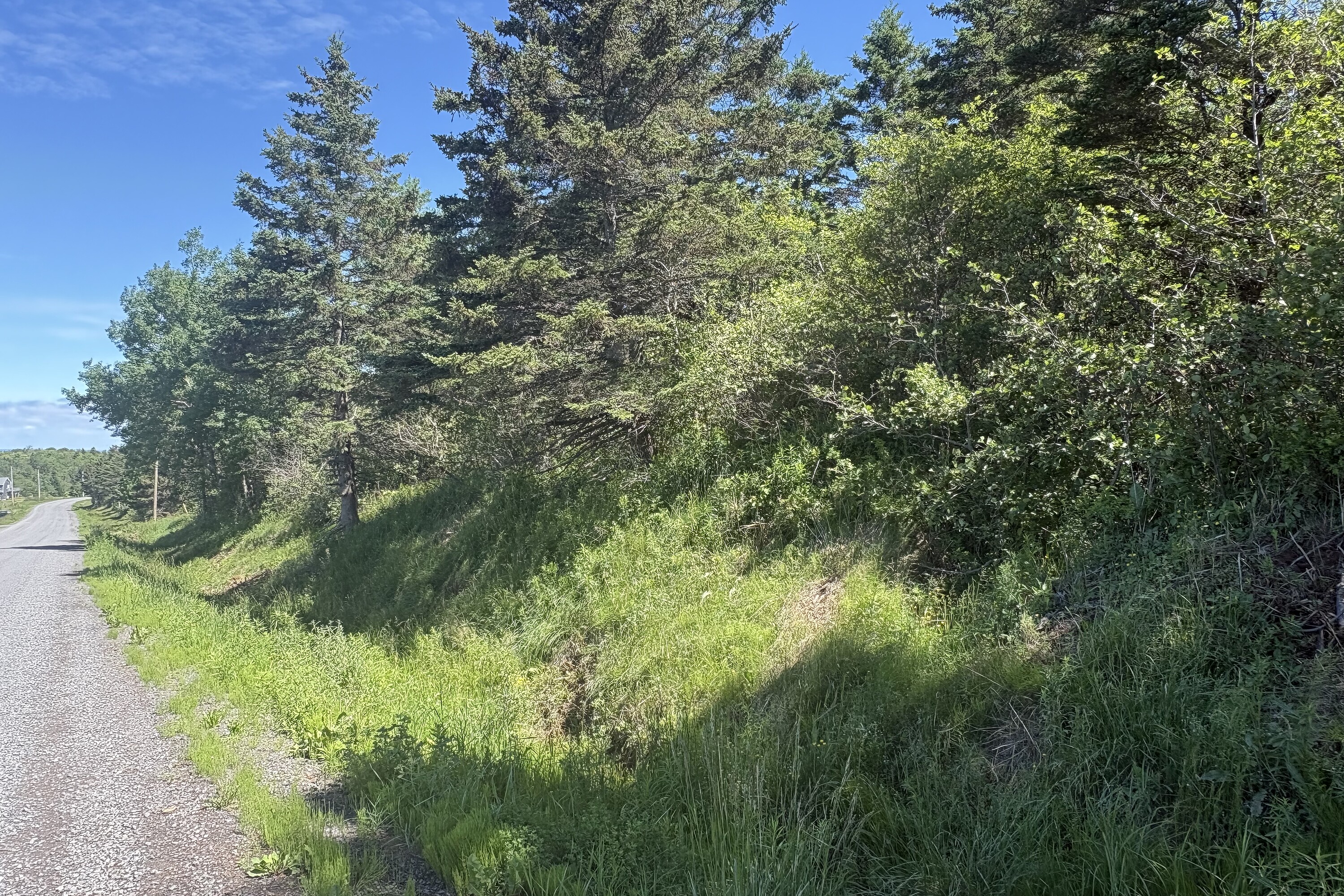  Ross Creek, - 物件實景