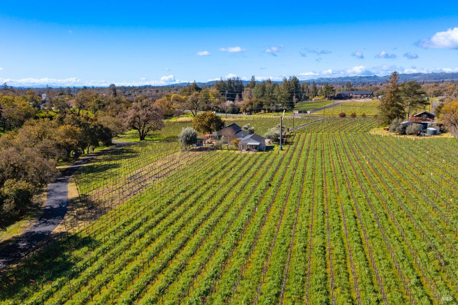Napa, California, 94558, United States, 8 Bedrooms Bedrooms, ,9 BathroomsBathrooms,Residential,For Sale,1729911