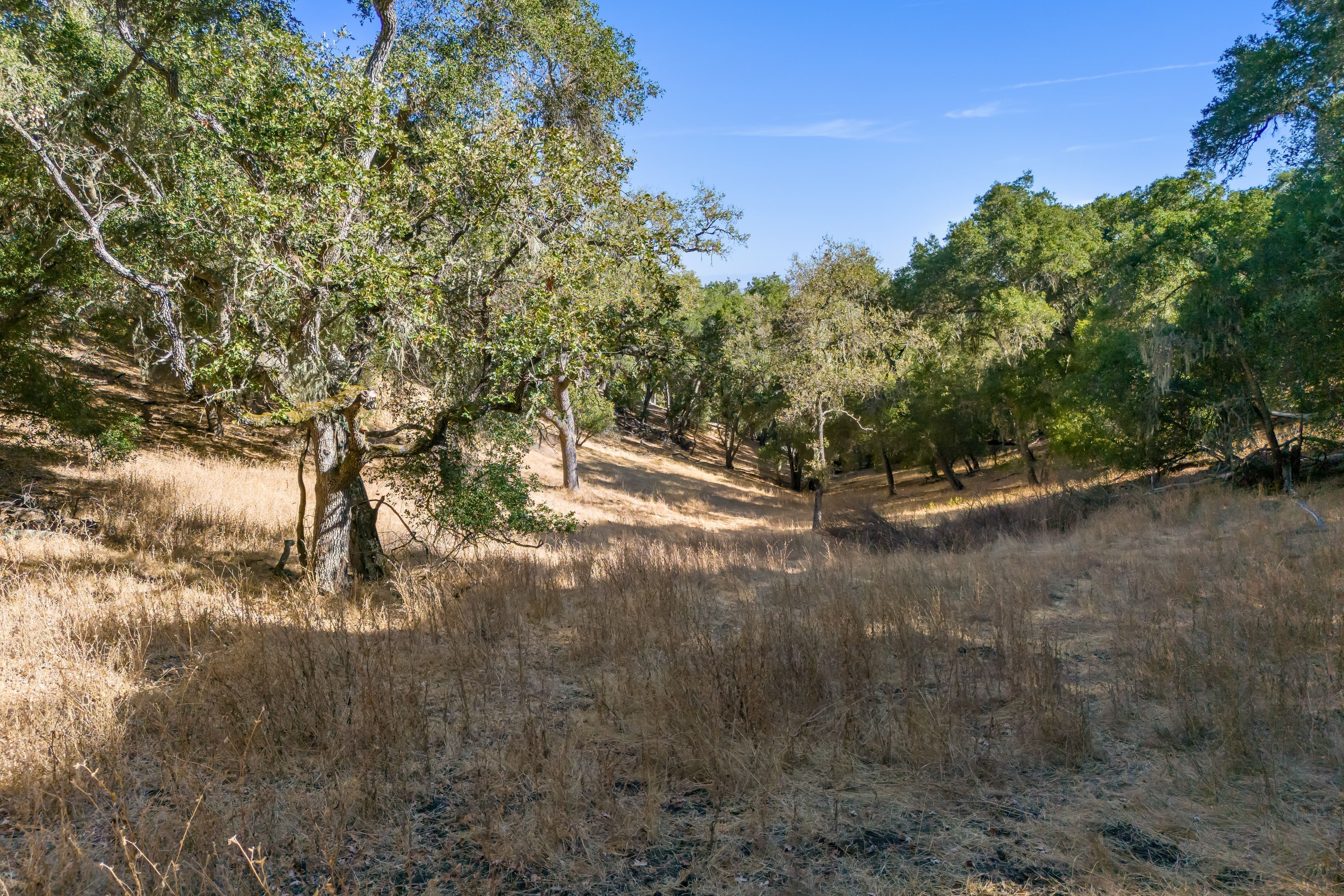  A Private Retreat Among the Oaks - 物件實景
