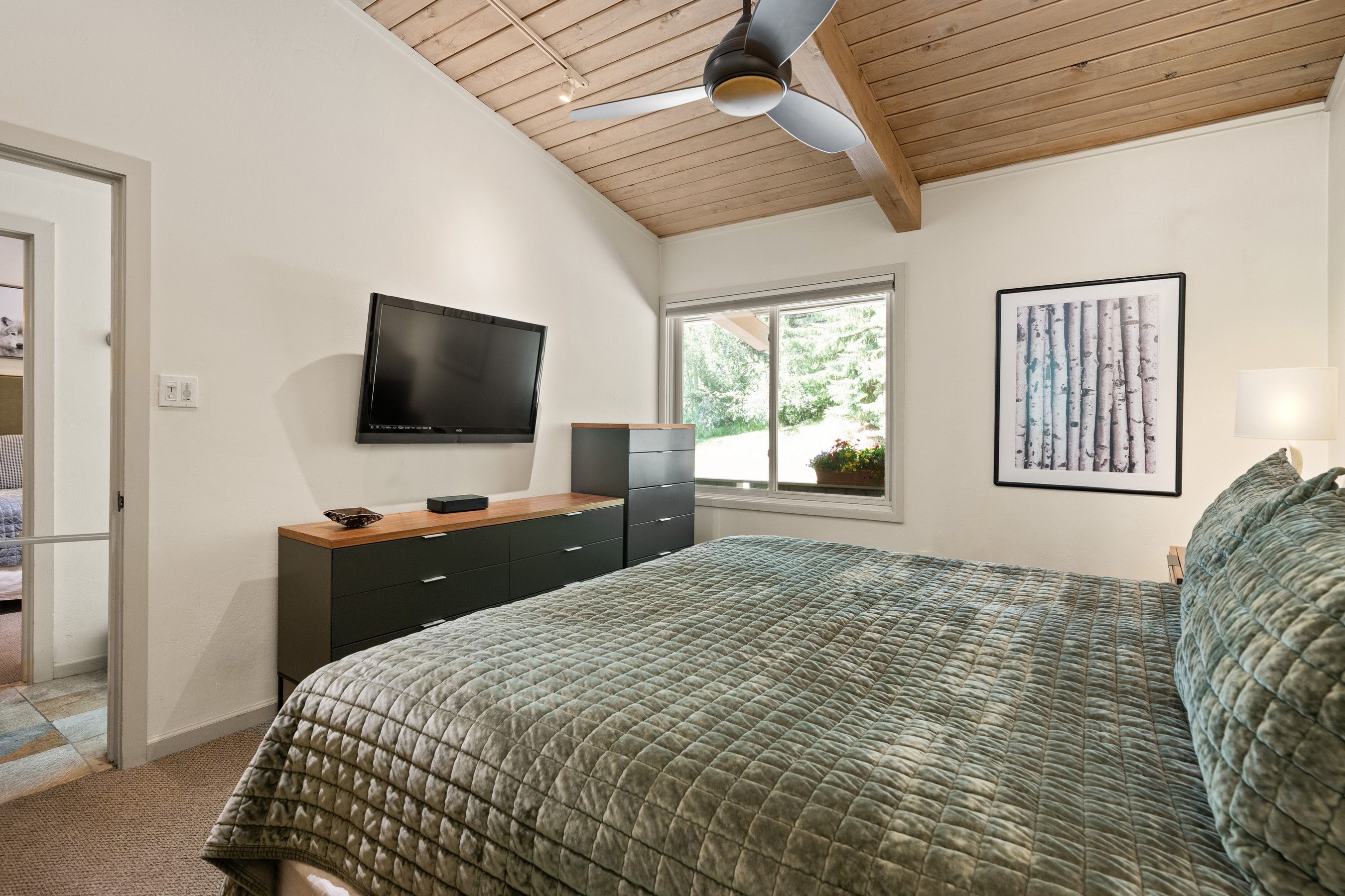  700 Ute Avenue, Aspen, CO, 81611 - 物件實景