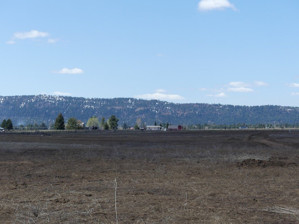 McCall, Idaho, 83638, United States, ,Land,For Sale,1978788