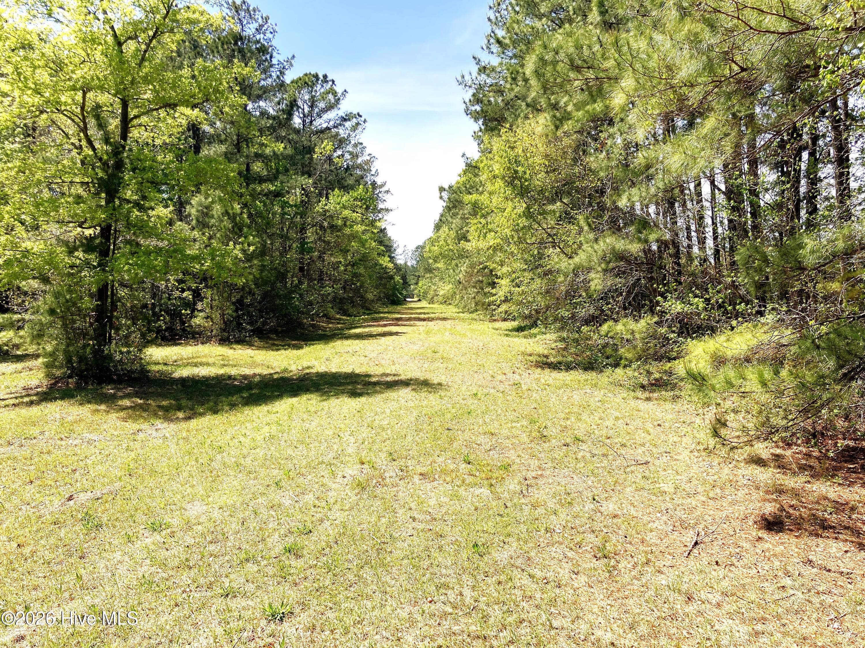 Havelock, North Carolina, 28532, United States, ,Land,For Sale,2035348