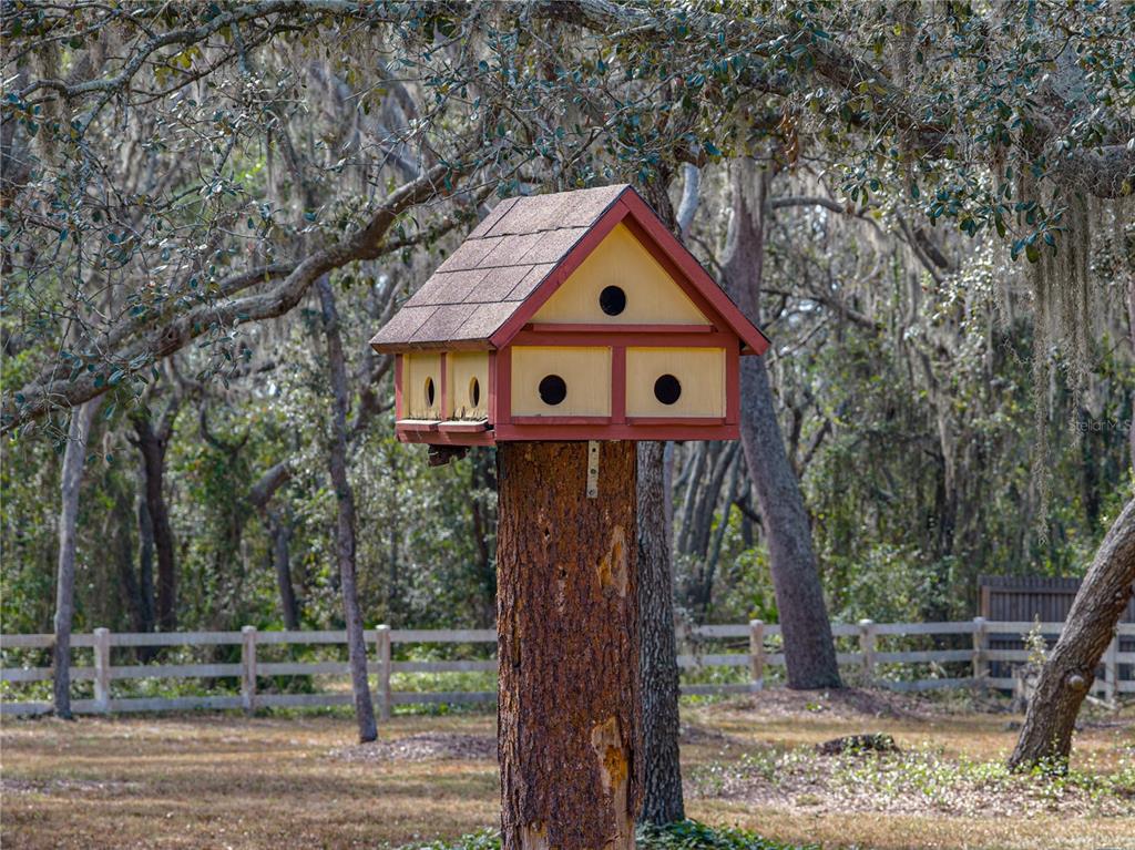 Riverview, Florida, 33569, United States, 4 Bedrooms Bedrooms, ,3 BathroomsBathrooms,Residential,For Sale,1991994