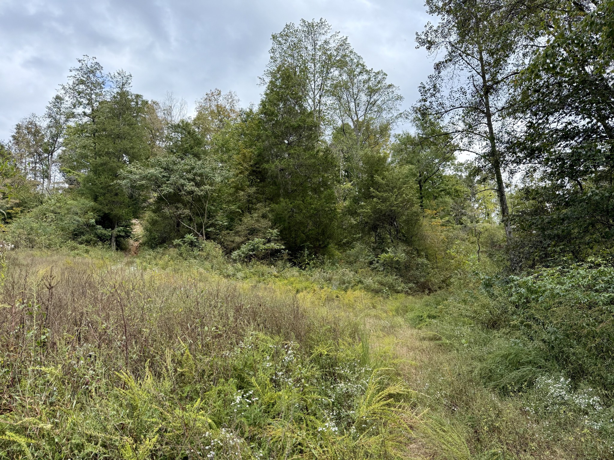 Lynchburg, Tennessee, 37388, United States, ,Land,For Sale,1982223