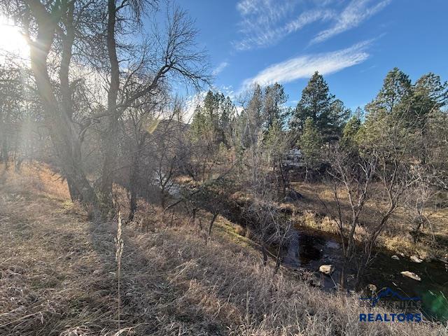 Whitewood, South Dakota, 57793, United States, ,Land,For Sale,2005970