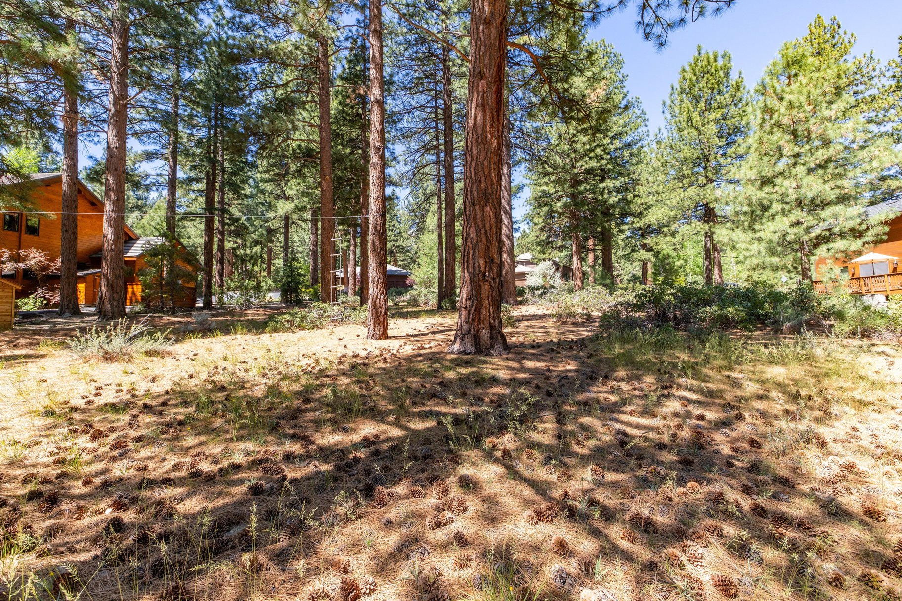  Private Galena Forest Parcel Near Mt. Rose with Pines & Tahoe Access - 物件實景