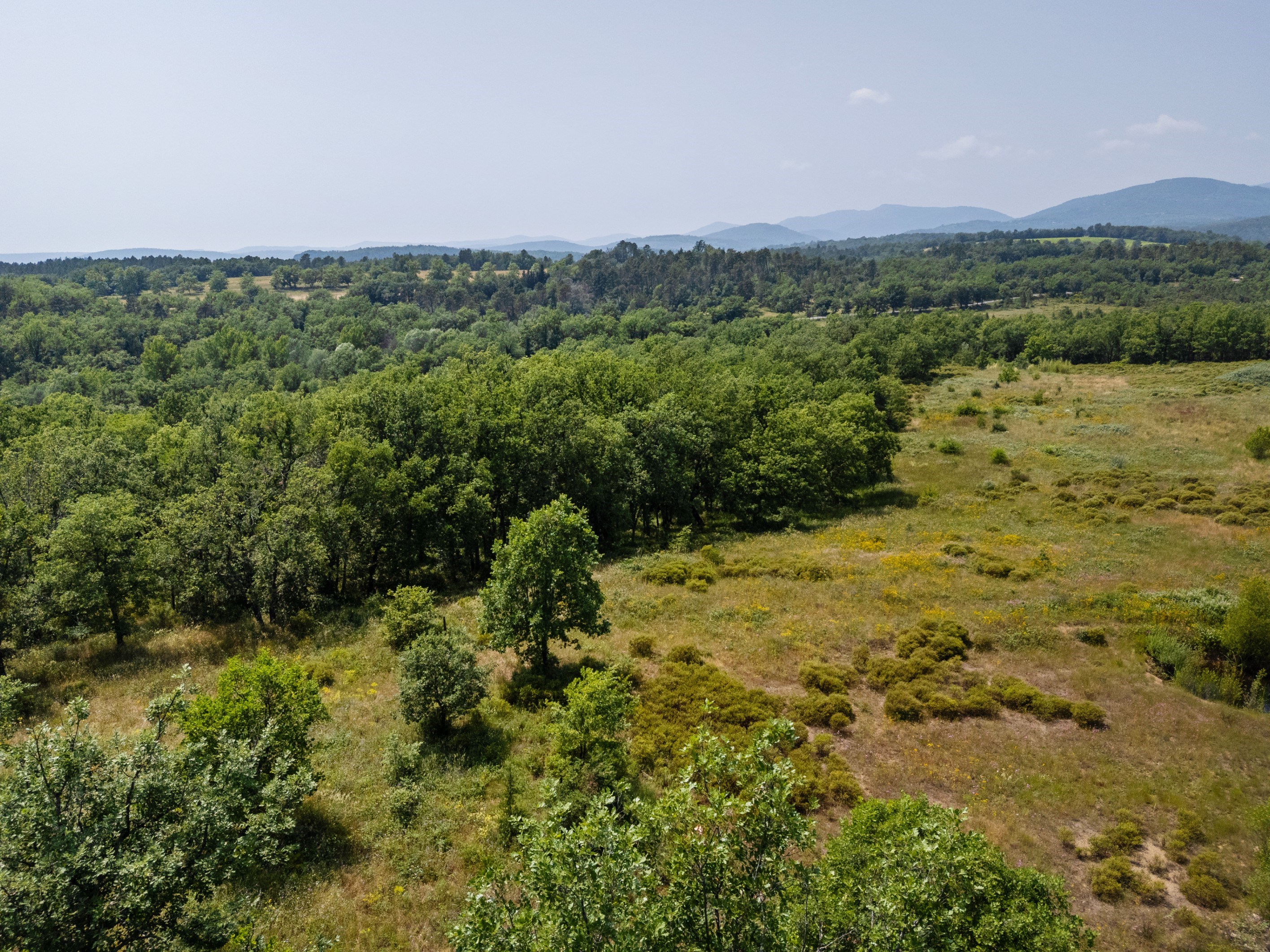  Organic estate with vineyard potential and panoramic views, over 44 Hectares in… - 物件實景
